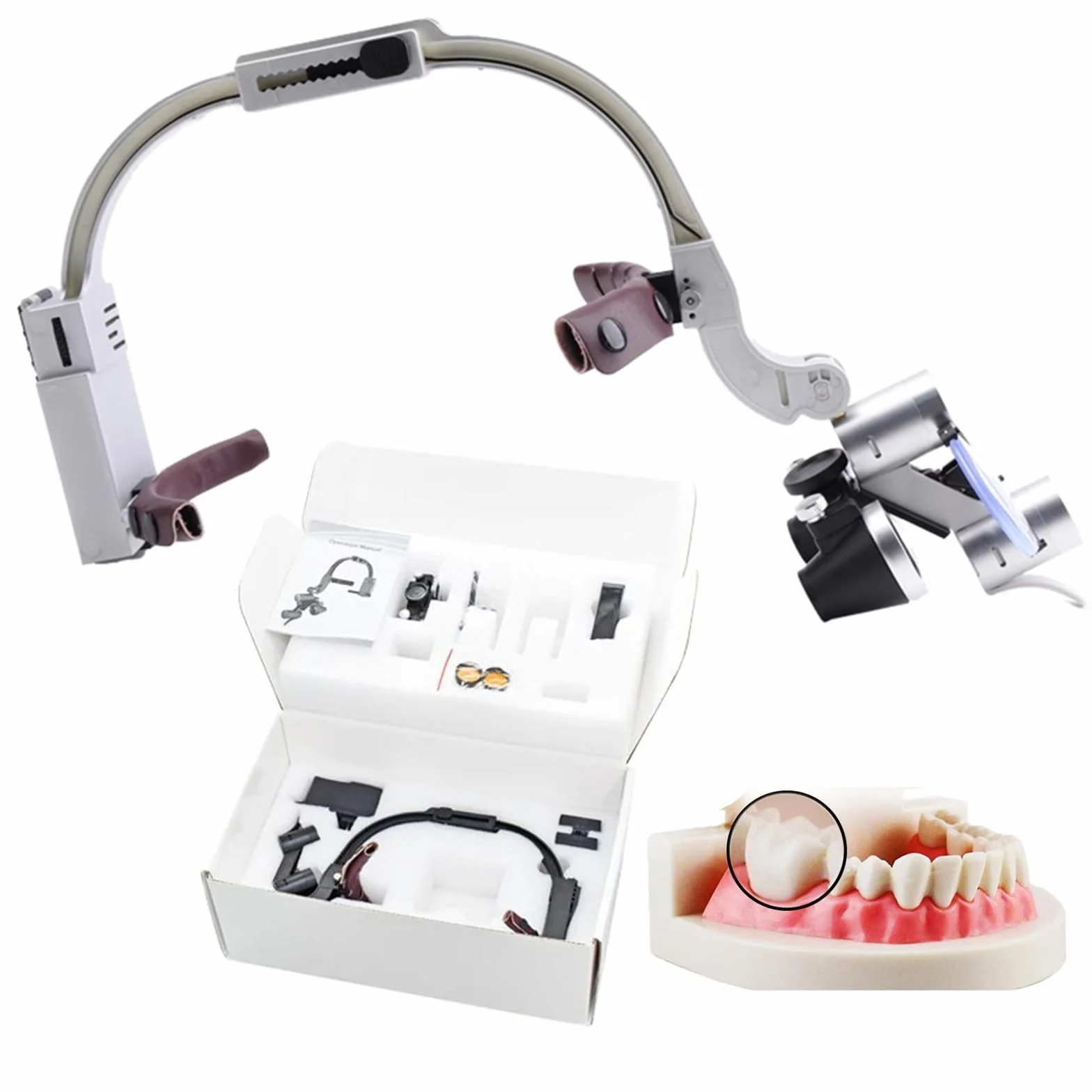 Lupa quirúrgica dental binocular con faro LED 2.5X 3.5X montada en diadema