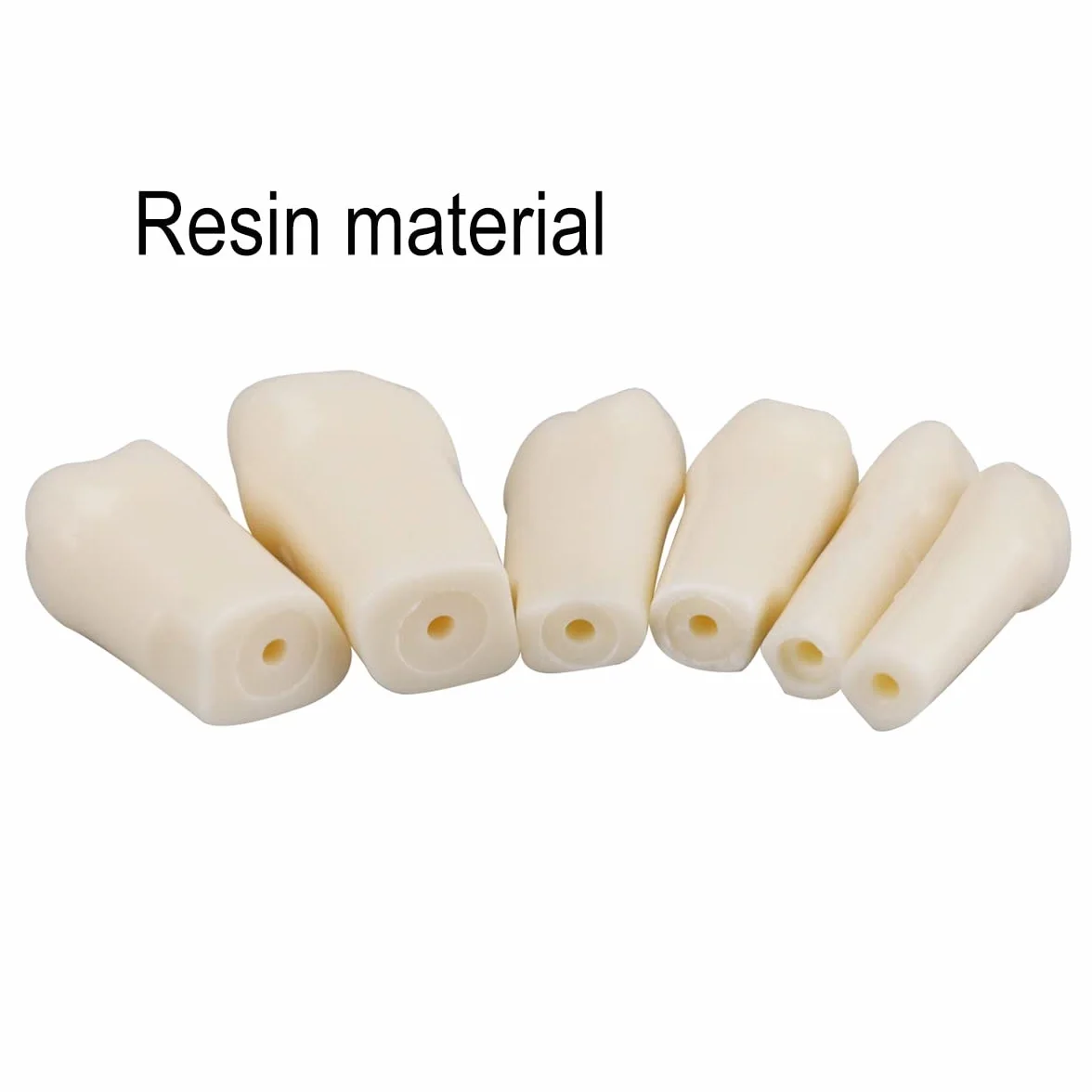 Simulador dental Maniquí Phantom Head Typodont Modelos con dientes extraíbles 28 piezas