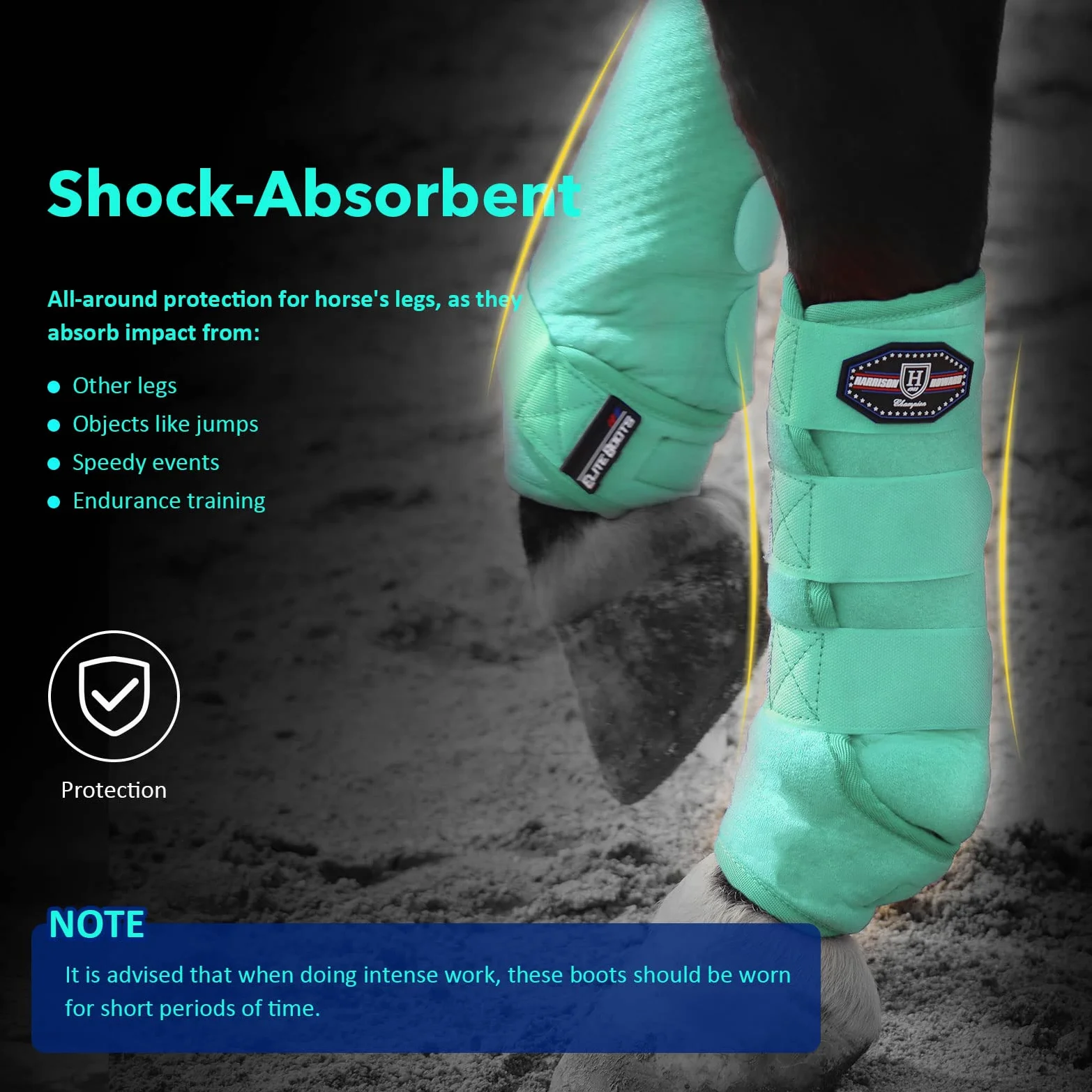 Harrison Howard Botas deportivas de caballo Excelente soporte para patas de caballo valioso paquete de 4