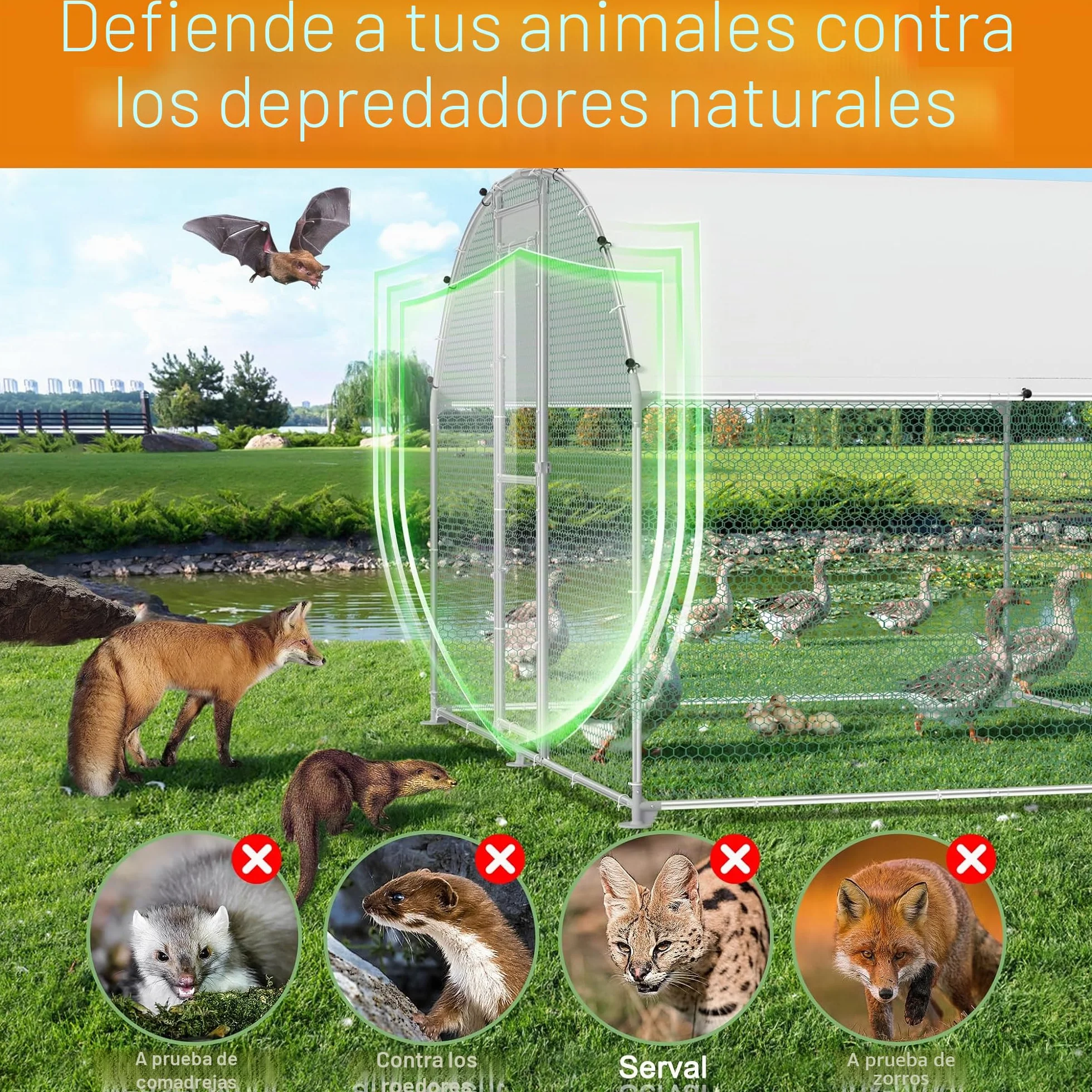 HENGMEI Gallinero 300x200x200cm Acero galvanizado Jaula para gallinas con techo de PE Exterior