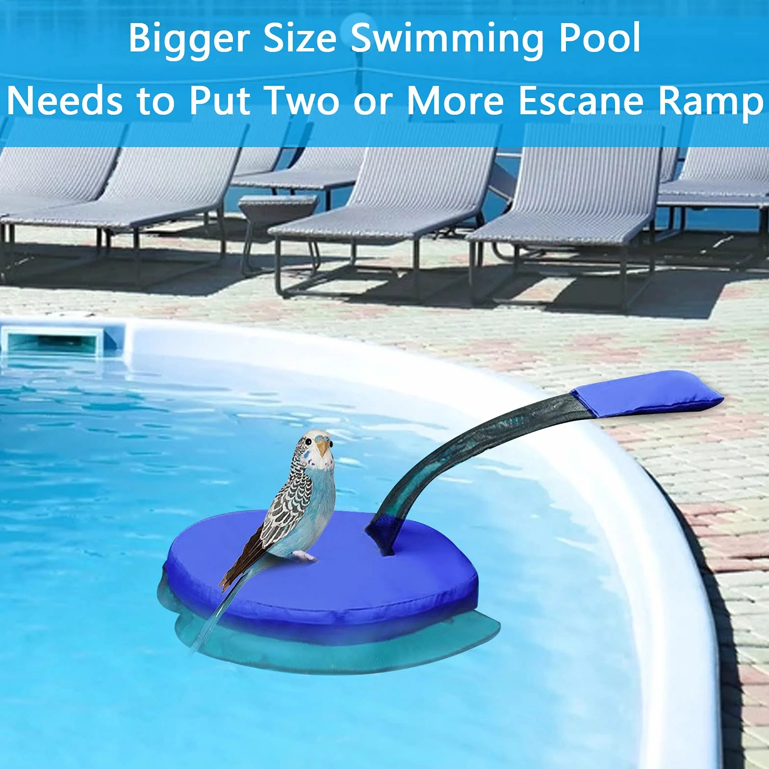 ConBlom Rampa de escape para mascotas para piscina, flotante, accesorios