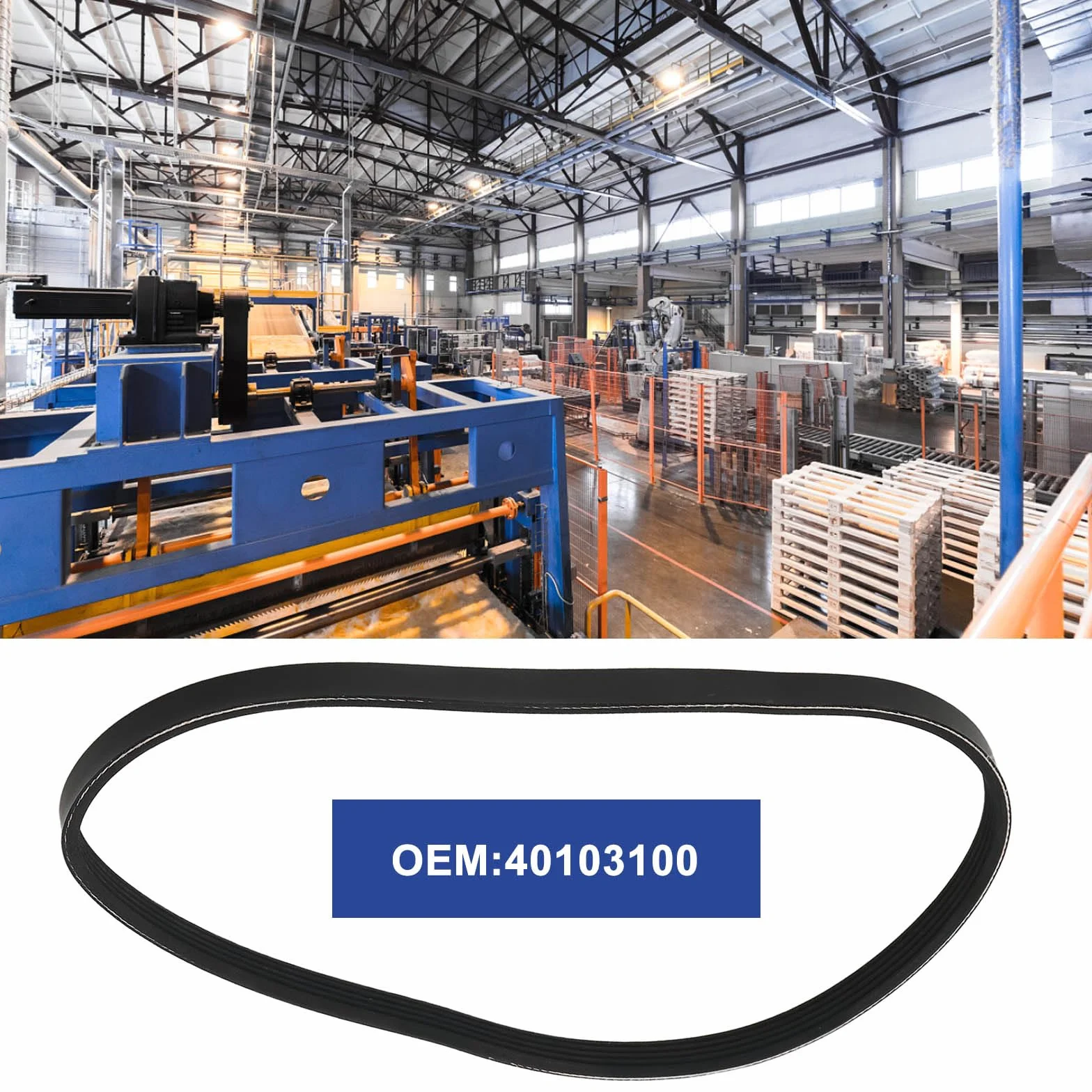 Correa de Transmisión 5PJ610 5 Nervaduras 610mm Repuesto Industrial