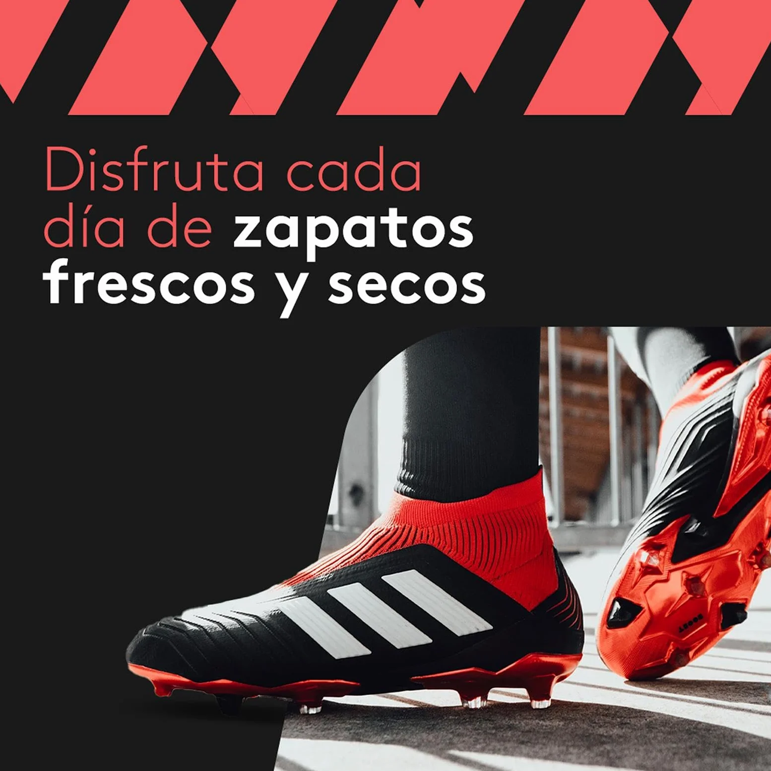 SHOEDRY Ozone Secador y Refrescador de Zapatos con Tecnología de Ozono Elimina Bacterias y Hongos