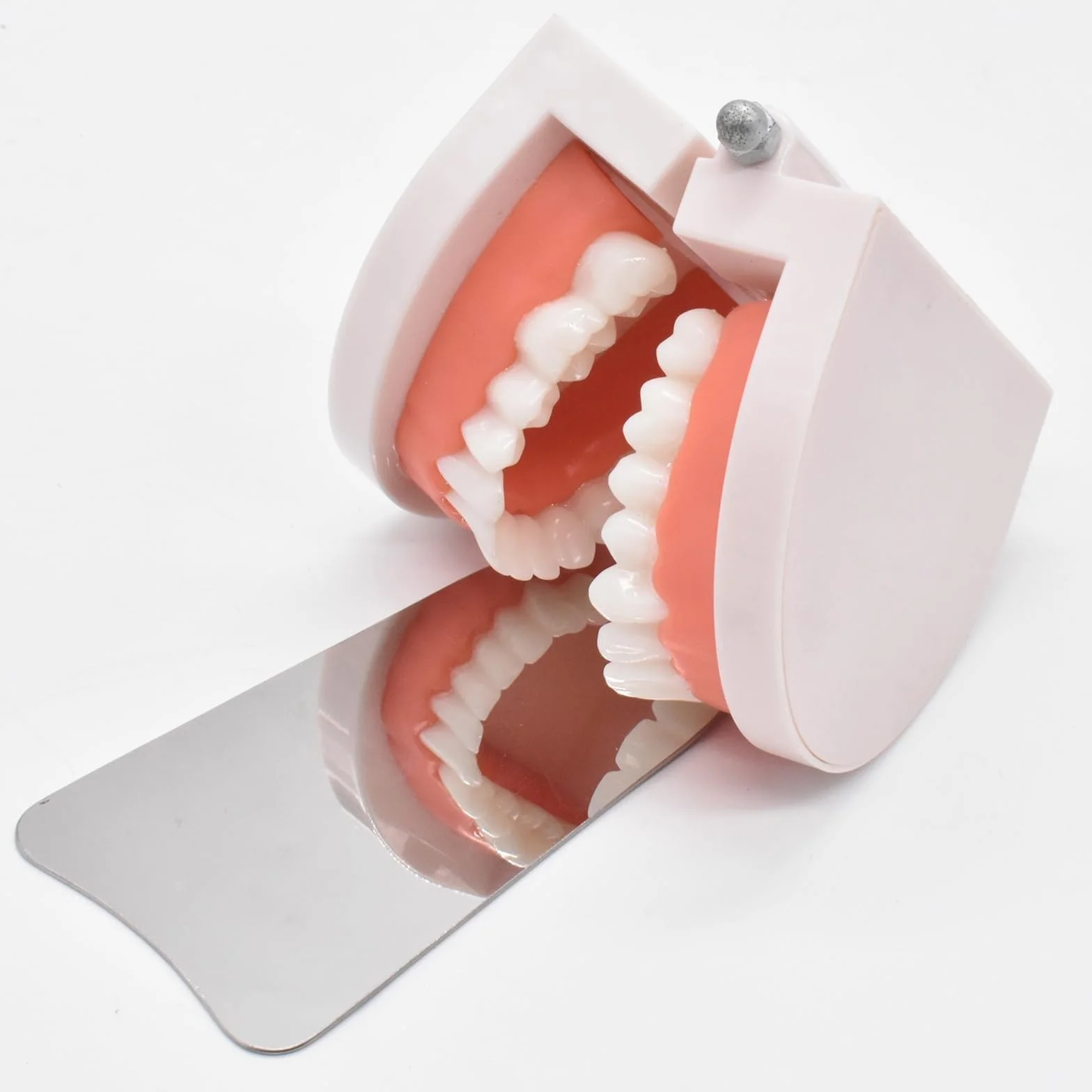 Espejos dentales antivaho intraoral de acero inoxidable para fotografía de ortodoncia