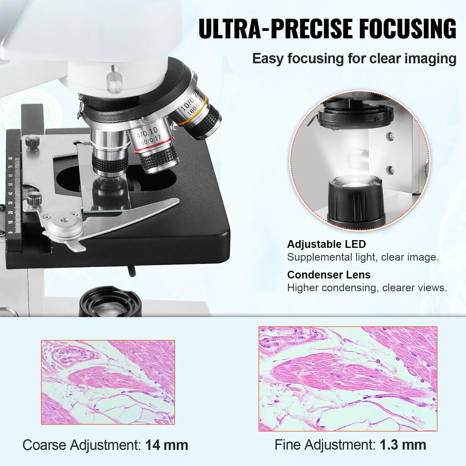 VEVOR Microscopio Compuesto Binocular 40X-2500X 6 Configuraciones Biológico Enfoque Grueso y Fino Etapa 2 Capas