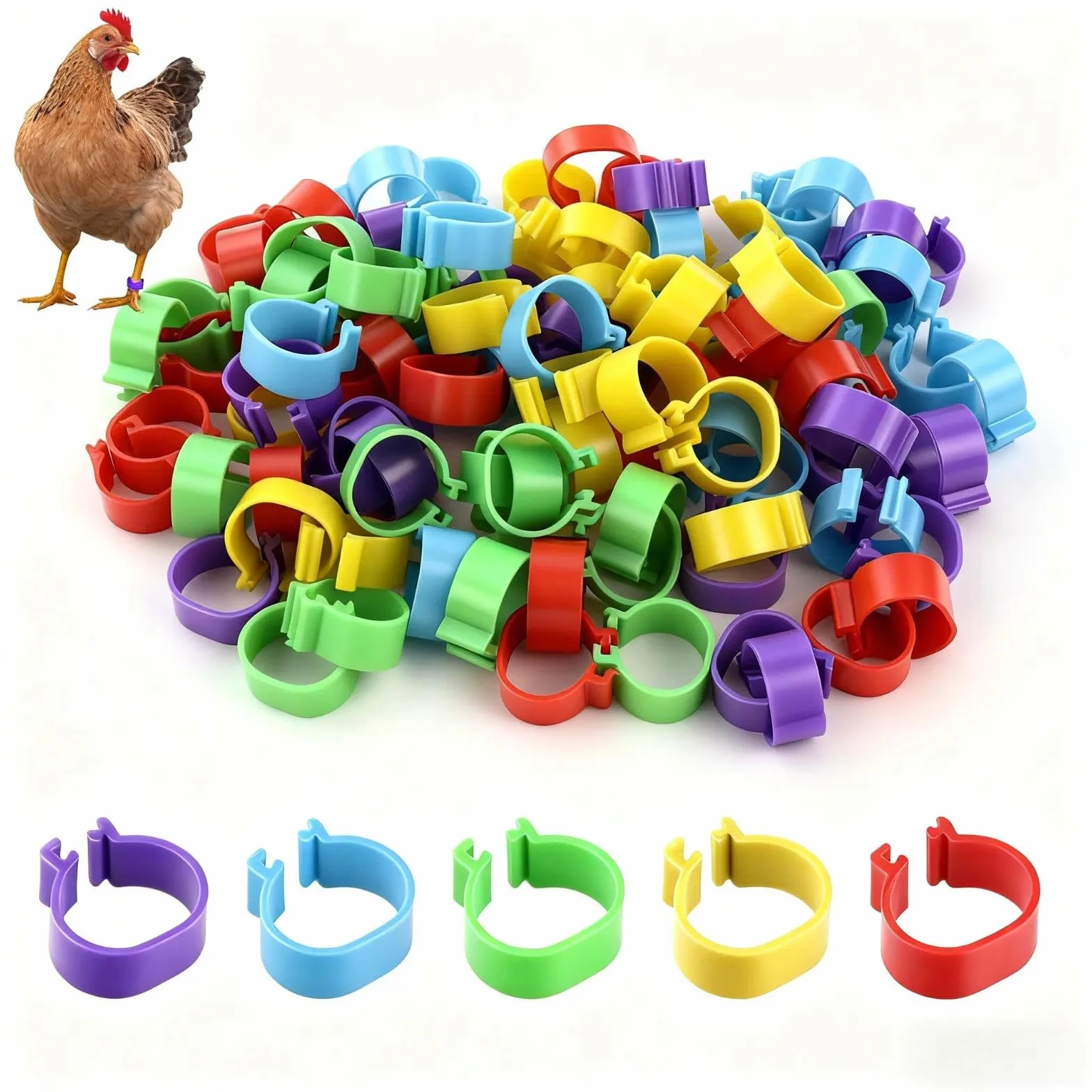 Anillas para Patas de Pollo 16mm - Anillas de Marcaje Transparentes para Gallinas, Gansos y Patos - Anillas Desmontables para Avicultura