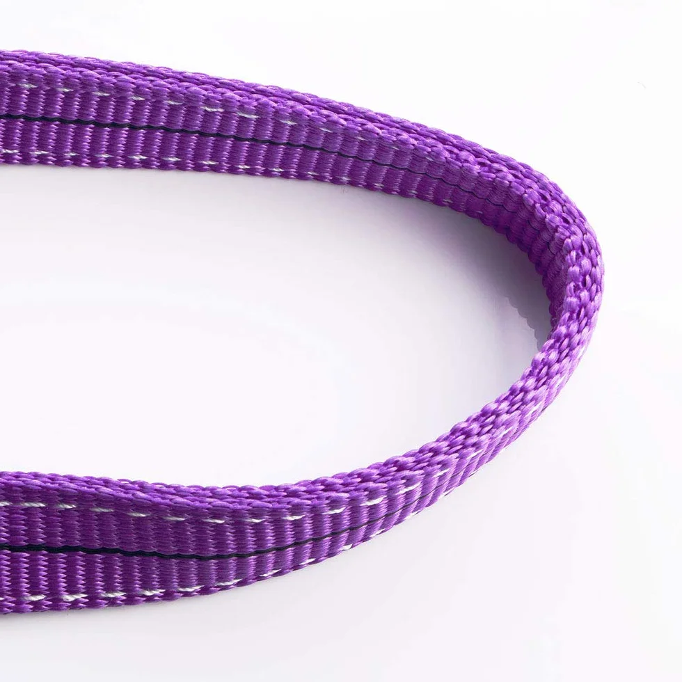 Correa de elevación de poliéster dúplex 1T 1M Morado
