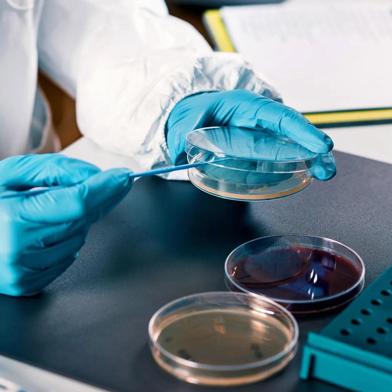 Placas De Petri Prellenadas De Agar Nutritivo 7cm, 10 Unidades, Esterilizadas Para Laboratorio