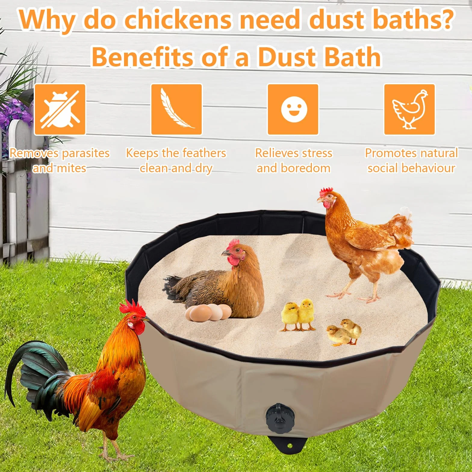 Pollo Baño de Arena Bañera Plegable para Gallinas, Recipiente de Limpieza PVC Portátil