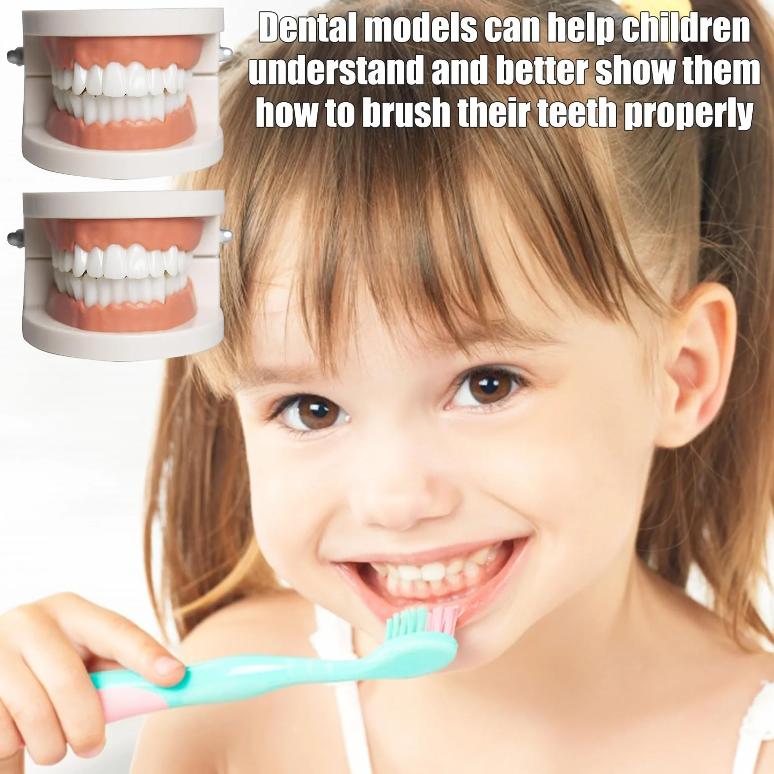 Modelo Dental de Demostración Estándar PVC para Adultos Niños Enseñanza Dental 2Pcs