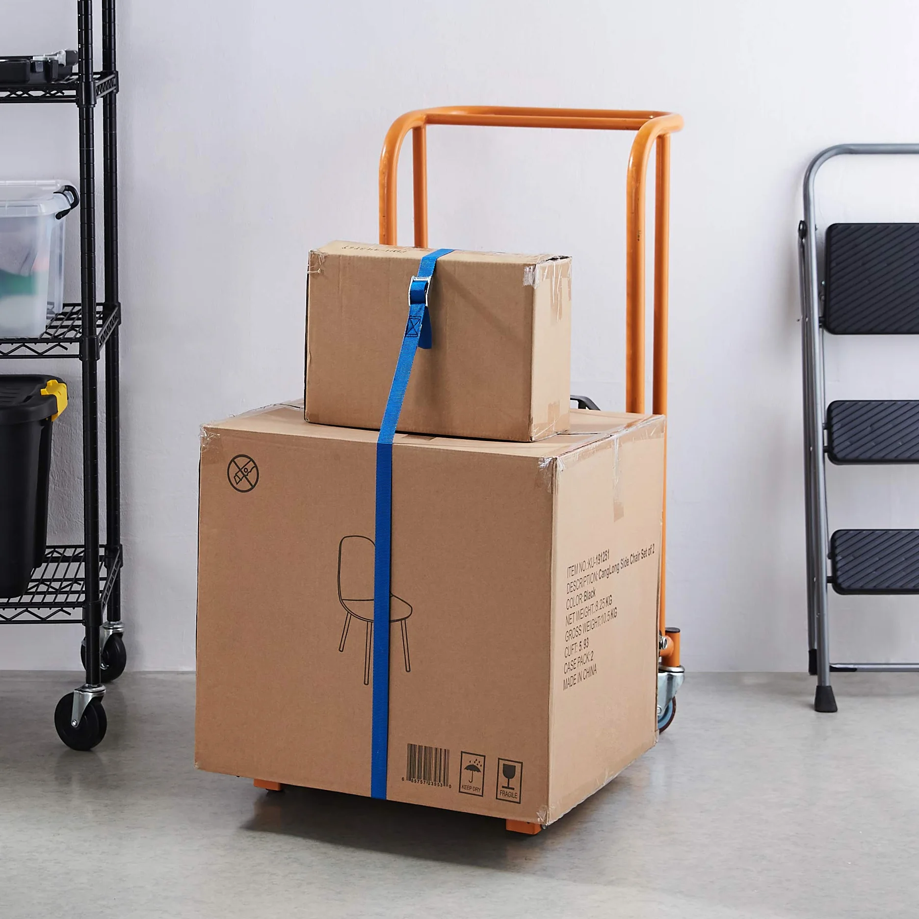 Amazon Basics Correa de Amarre 2.5 m 25 mm 150 kg Azul Paquete de 1
