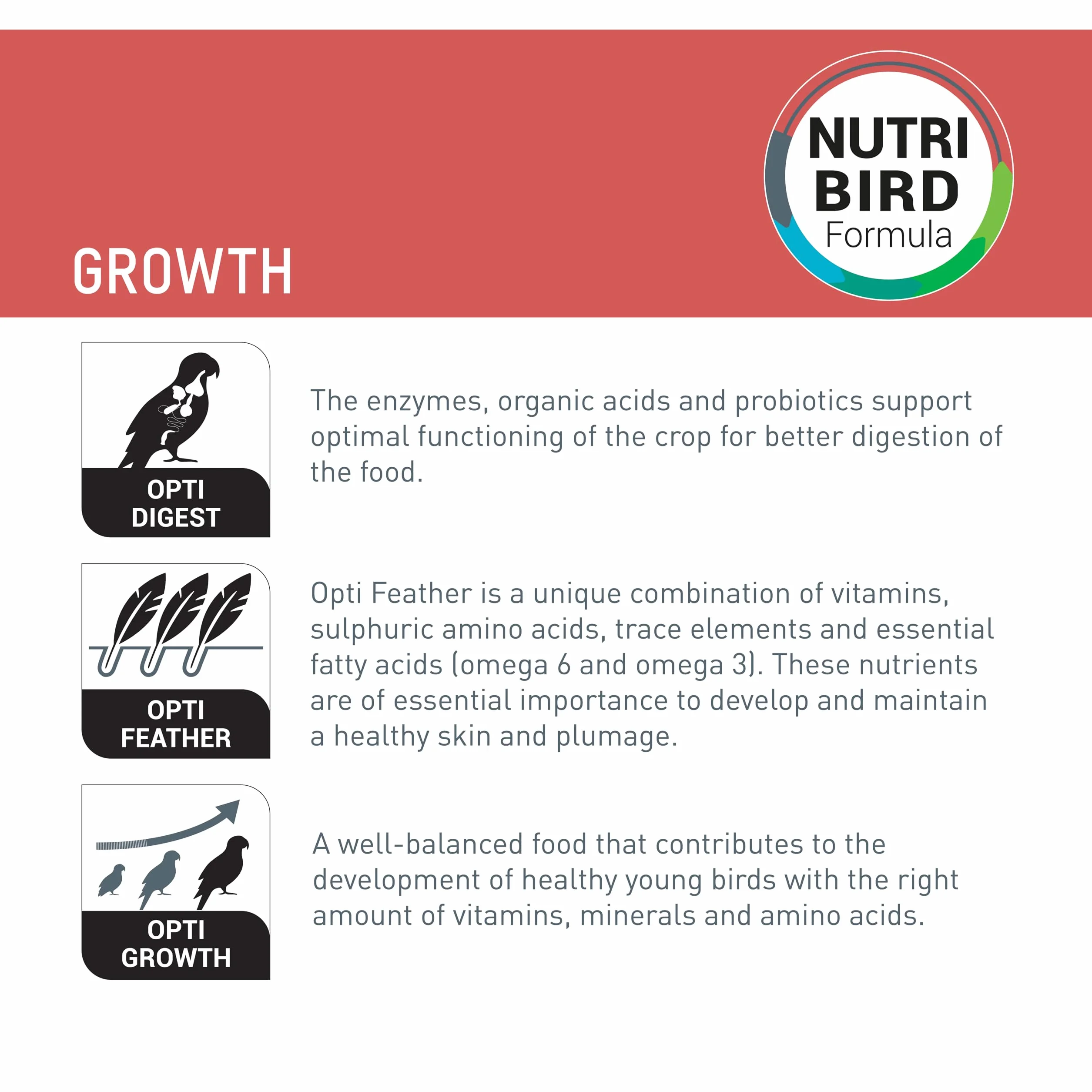 Versele-Laga NutriBird A21 800 g Alimento para cría a mano de aves con proteínas