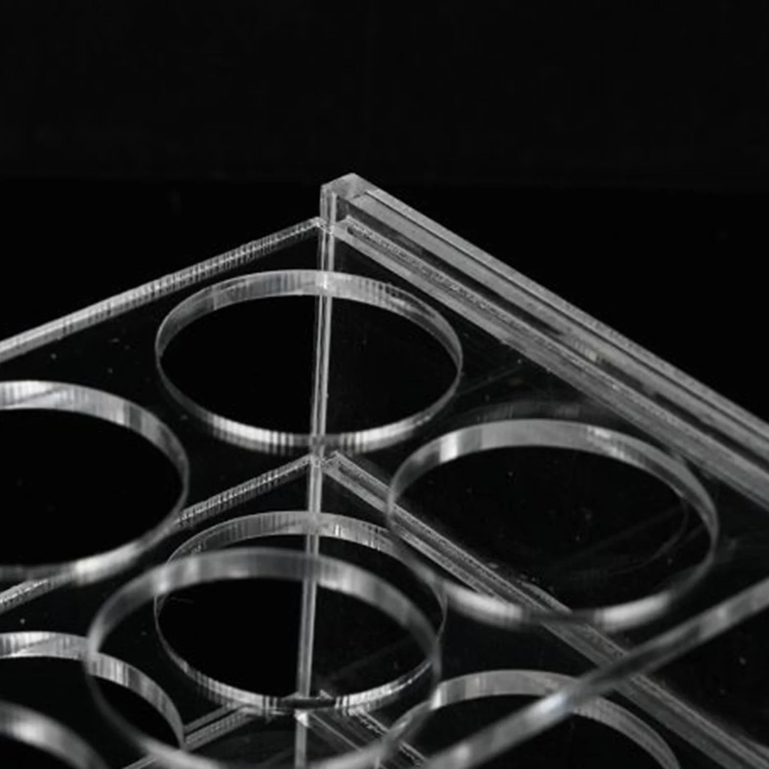 Portatubos Soportes para Tubos de Laboratorio Expositor Acrílico 8 Huecos Almacenamiento Educativo