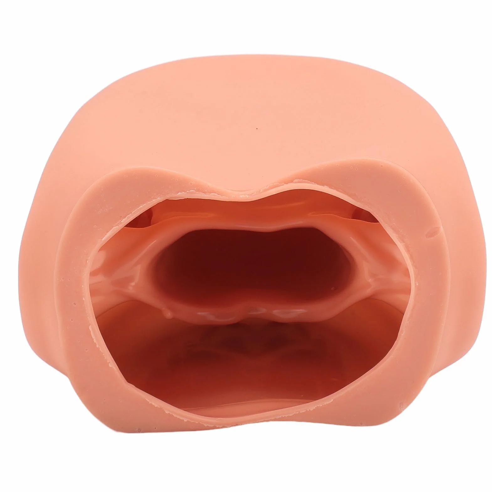 Marioneta de Boca de 28 Dientes con Lengua, Modelo de Demostración para Enseñanza de Niños, Silicona Bjorem