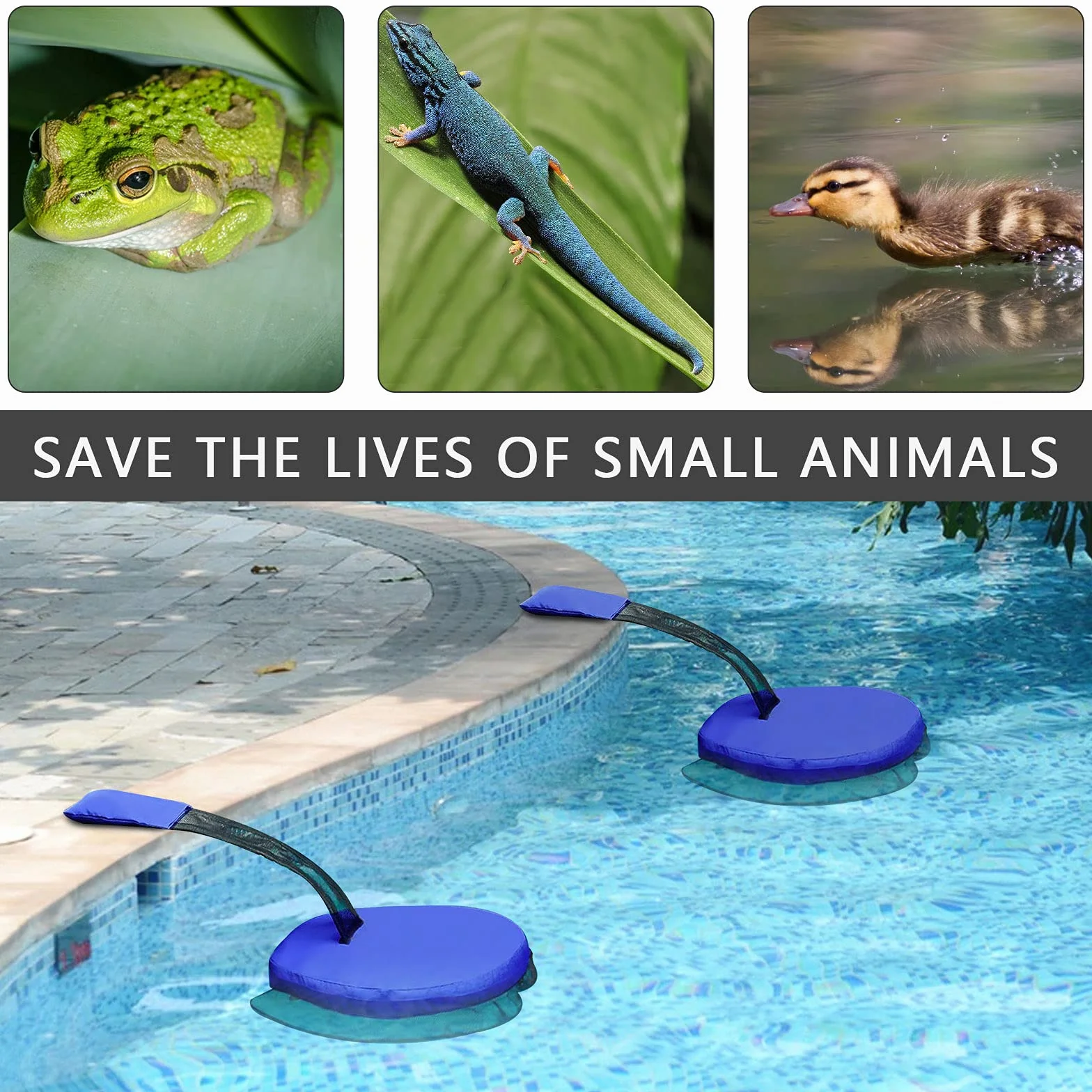 ConBlom Rampa de escape para mascotas para piscina, flotante, accesorios