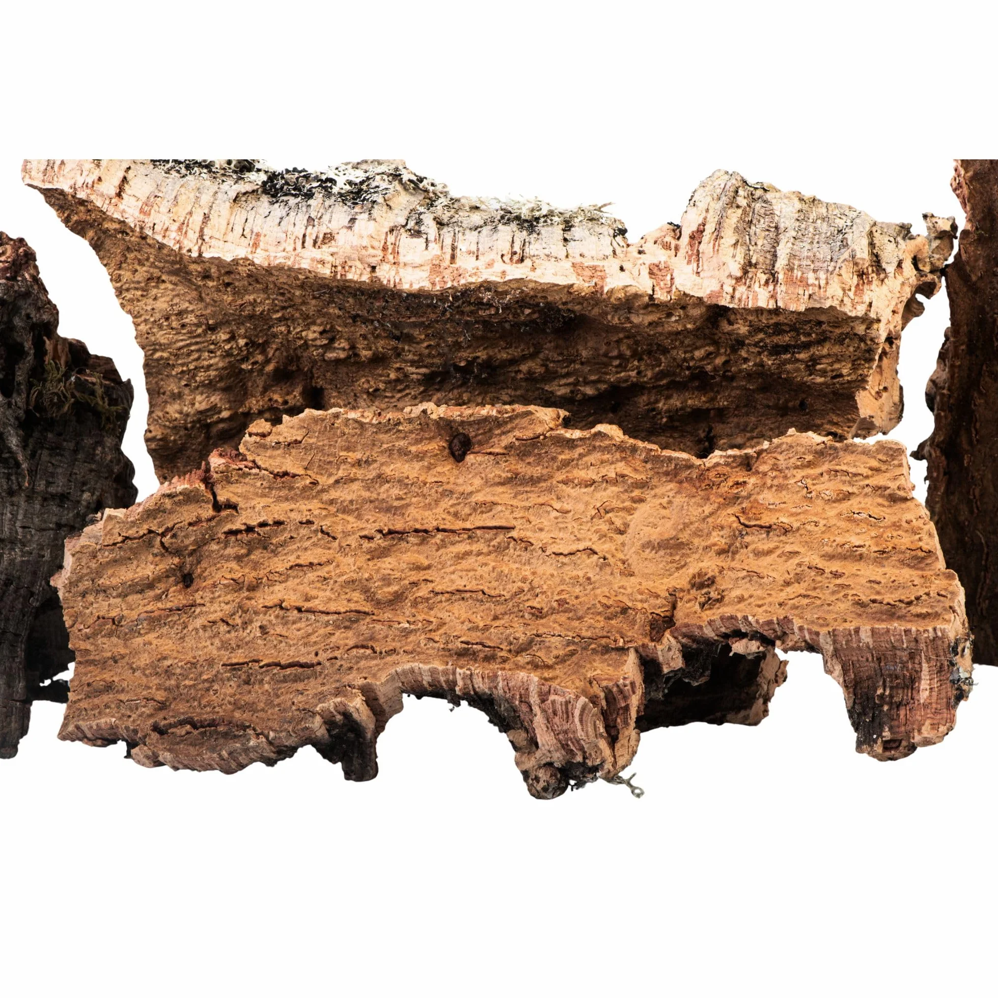 Corteccia de corcho 100% natural hecha en Italia para belén 5 kg