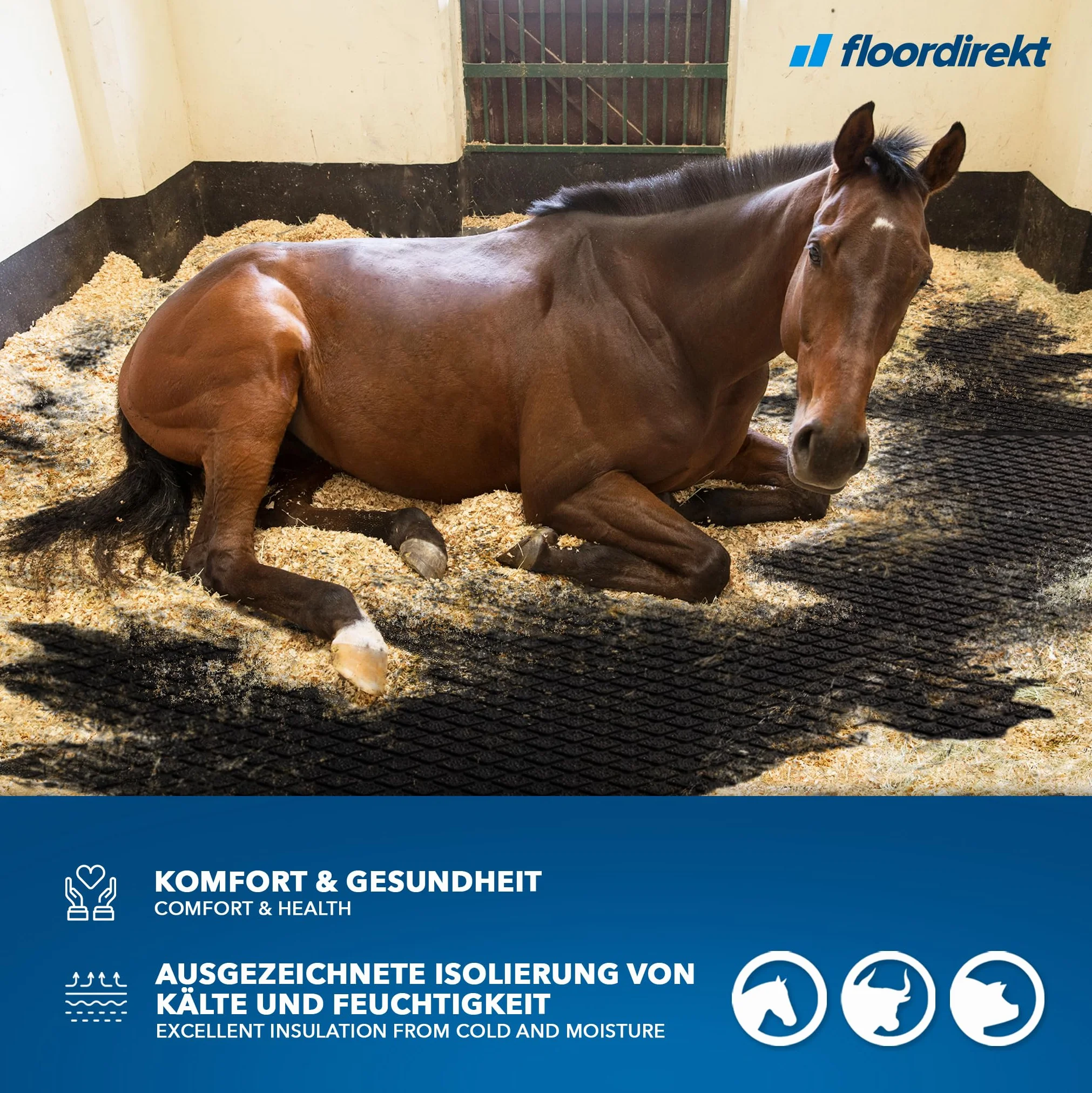 Floordirekt Diamond Top Alfombrilla de goma antideslizante 180 x 120 cm con drenaje para establo