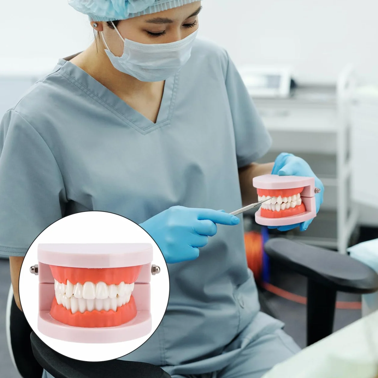 VALICLUD Modelo De Dientes Estándar Dental Herramienta Didáctica Plástico Ecológico 3D 3.62X2.95X2.00In