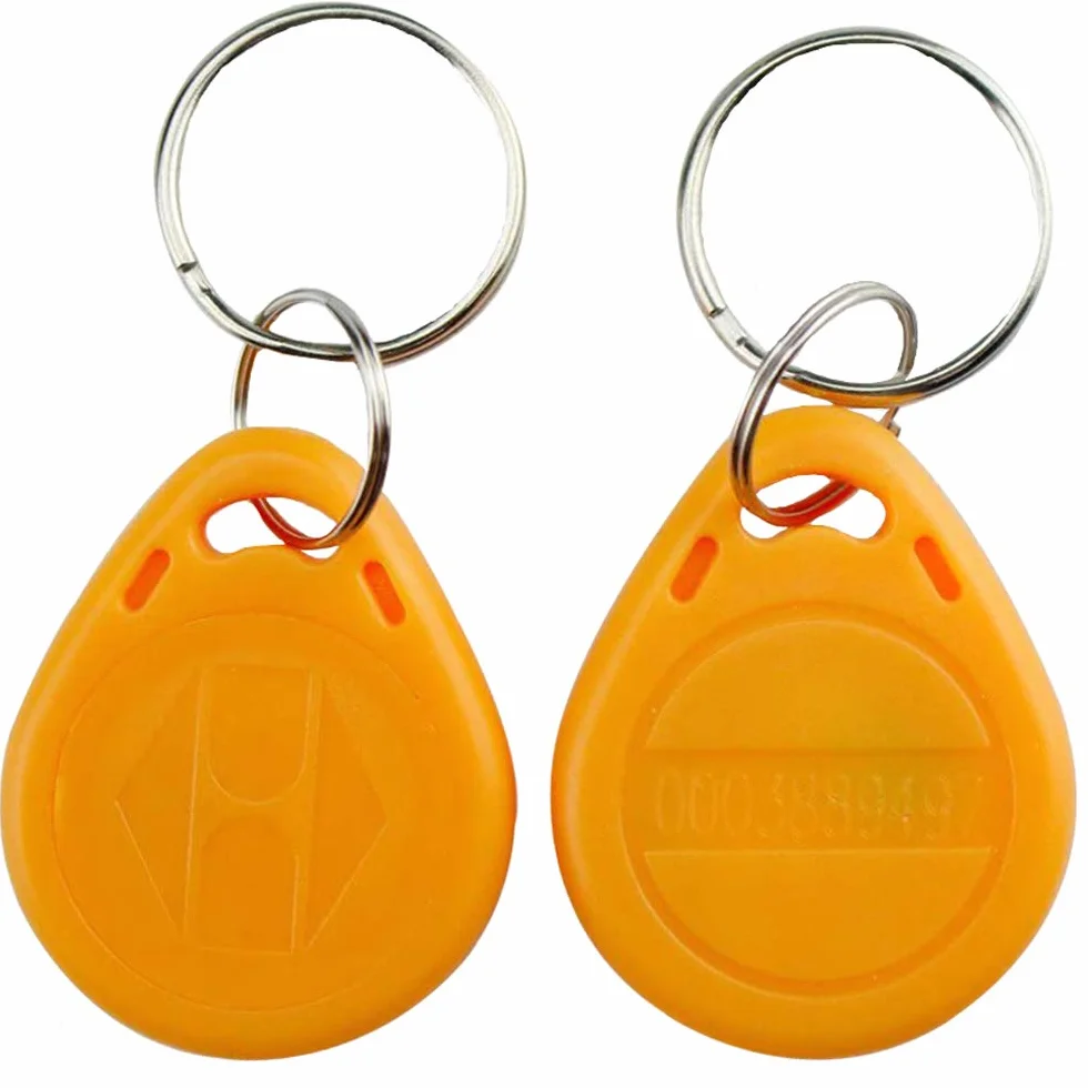 Llavero RFID 125 KHz Tarjeta EM-ID Control Acceso Puerta Solo Lectura Paquete 10