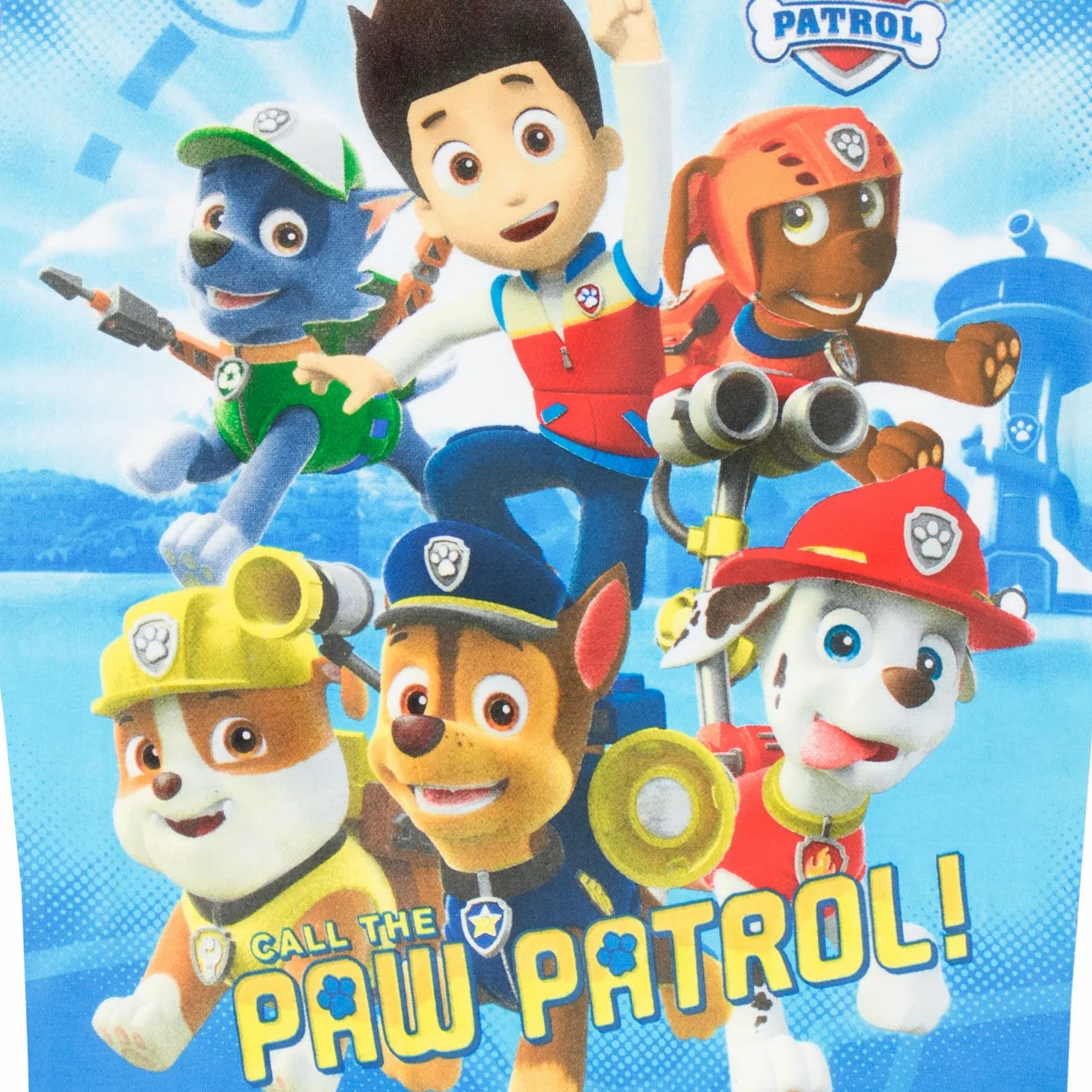 Paw Patrol Boys' Paw Patrol Pajamas