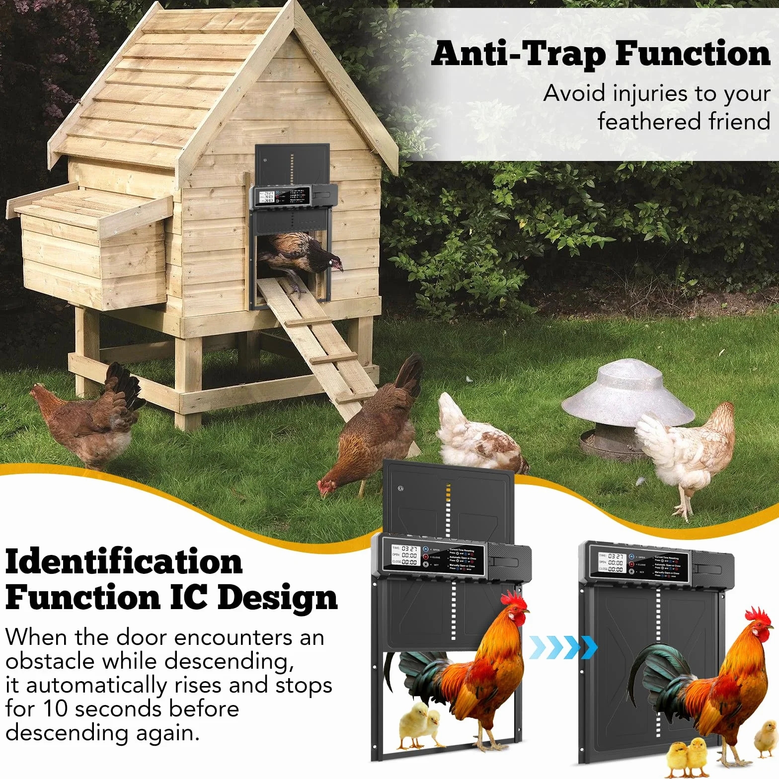Talifoca Puerta Automática Gallinero con Pantalla LCD, Anti-atrapamiento, Temporizador