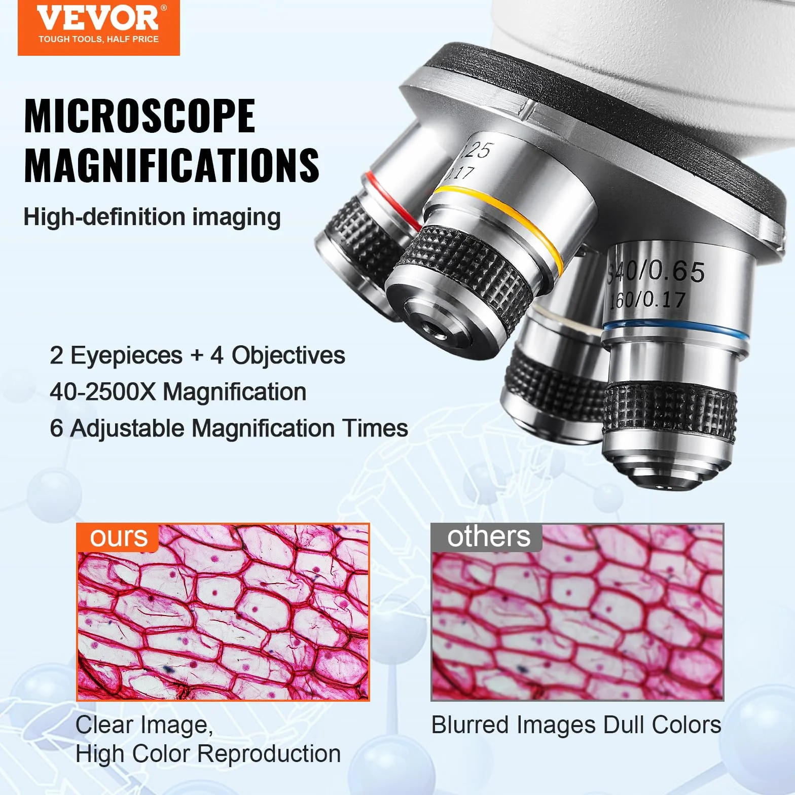 VEVOR Microscopio Compuesto Binocular 40X-2500X 6 Configuraciones Biológico Enfoque Grueso y Fino Etapa 2 Capas