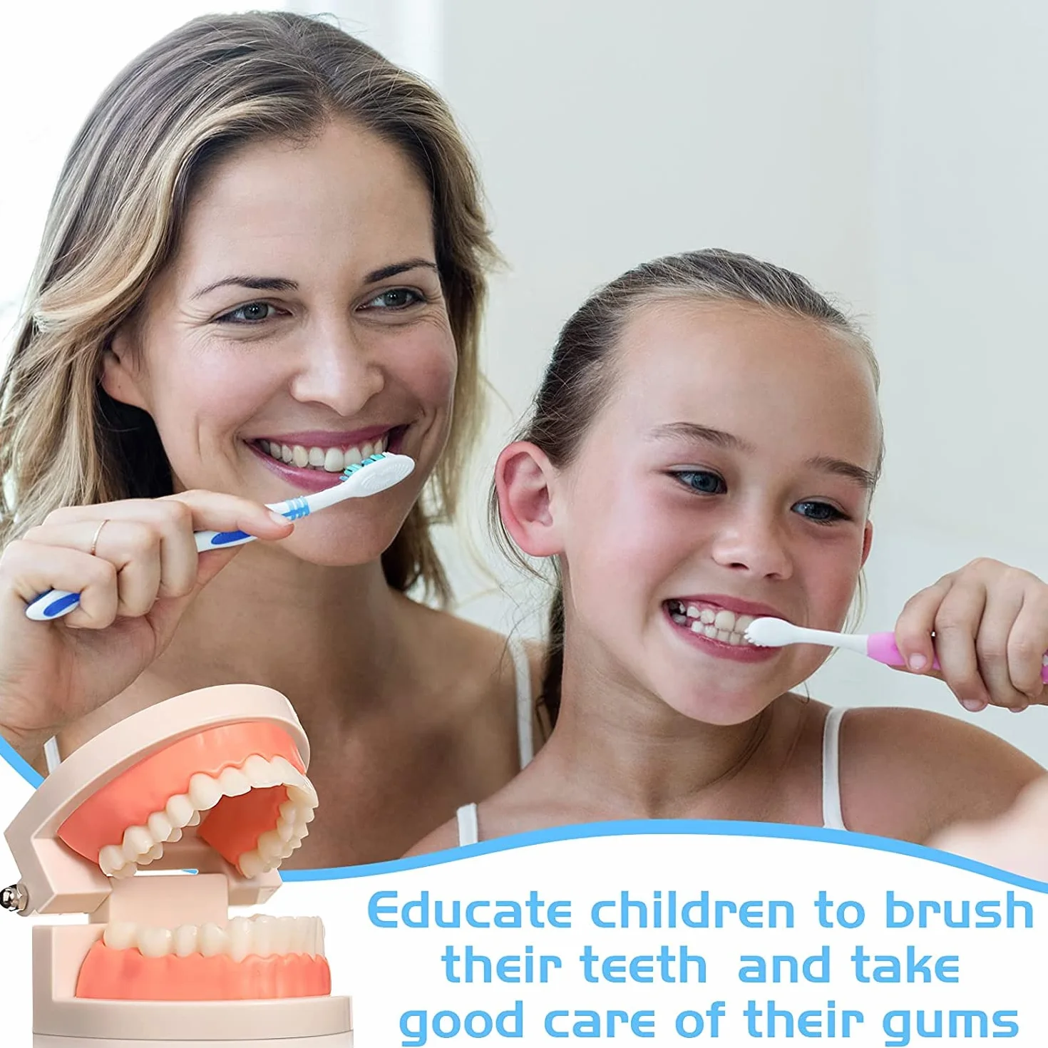 Modelo Dental de Demostración Estándar PVC para Adultos Niños Enseñanza Dental Cuidado Bucal con 2 Cepillo de Dientes