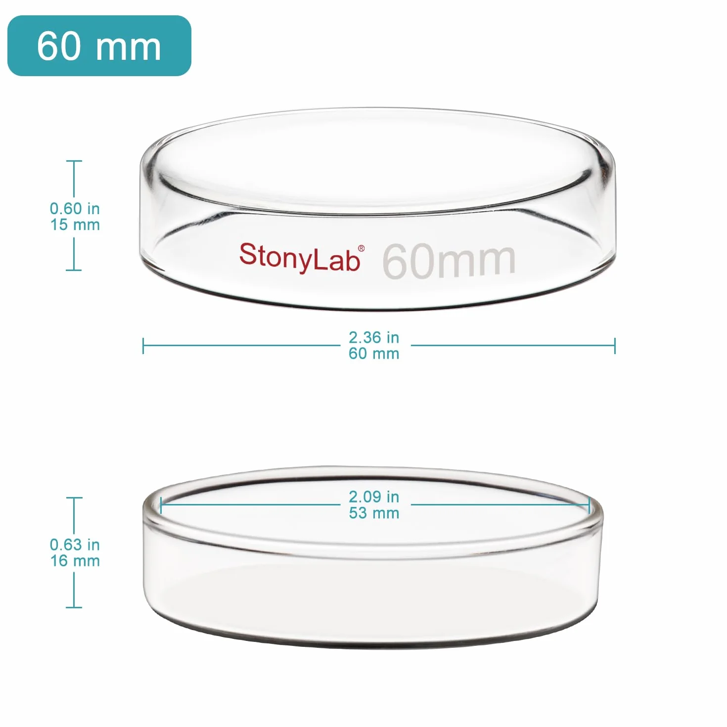 Placa de Petri Vidrio 60x15 mm Borosilicato Esterilizable Autoclave con Tapa Transparente Laboratorio