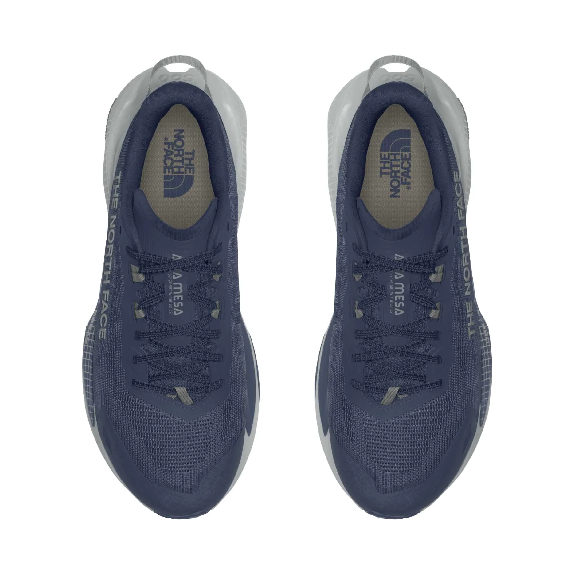 The North Face M Altamesa 500 V2, Zapatillas para Carreras de montaña Hombre