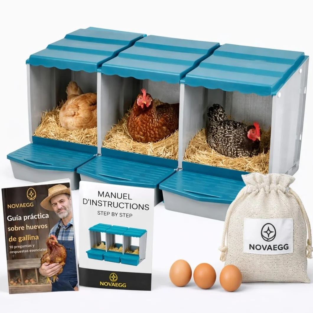 PONEDEROS para GALLINAS con 3 Huevos Falsos, Bolsa de Tela, Manual y Guía de Incubación - Nido Gallinas Ponedoras