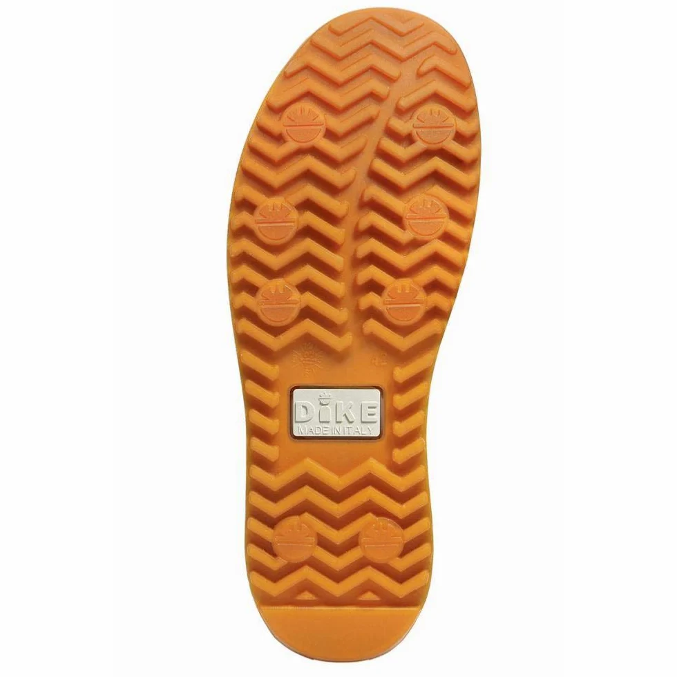 Dike