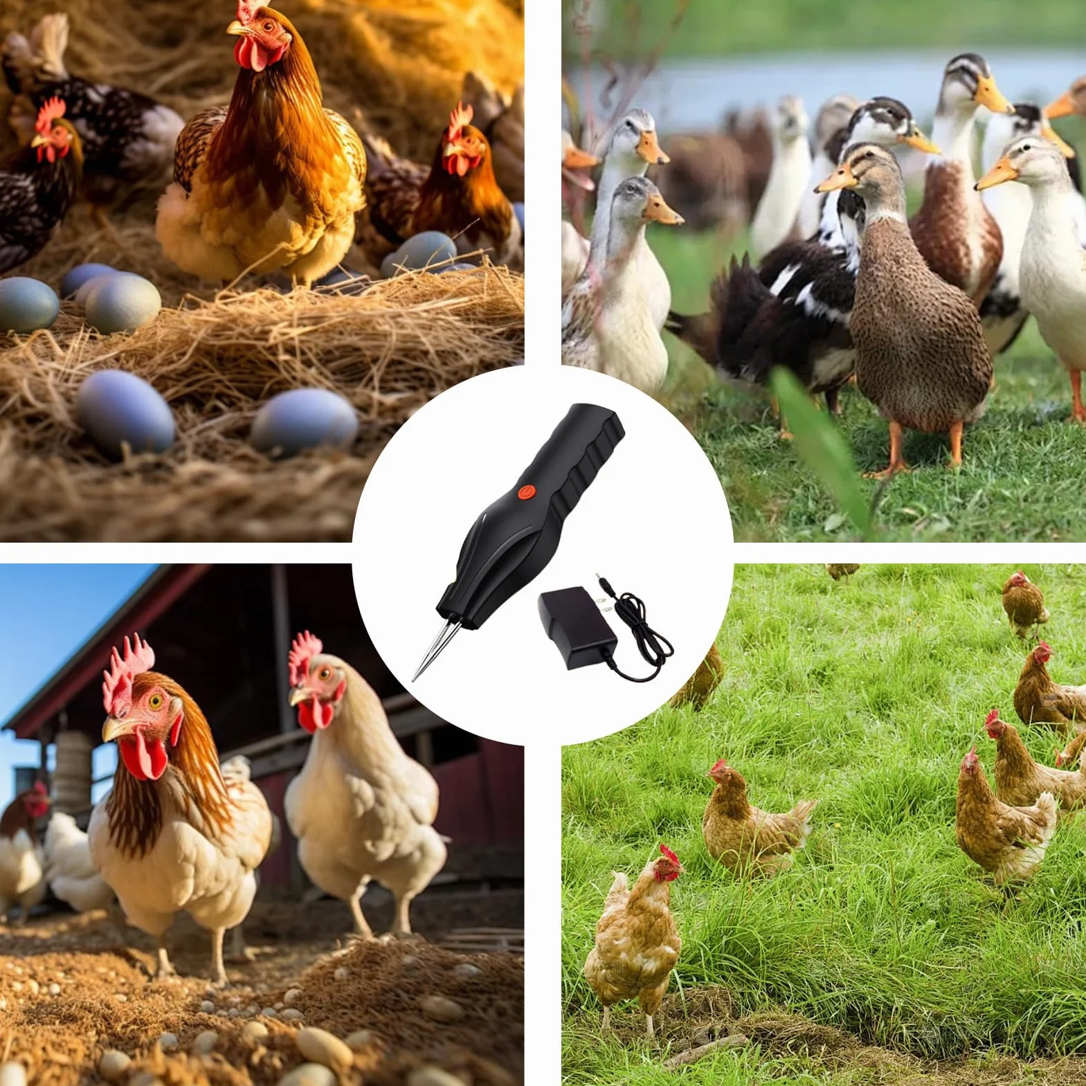 Llamador de pavos eléctrico profesional con máquina de depilación manual y automática para pollos