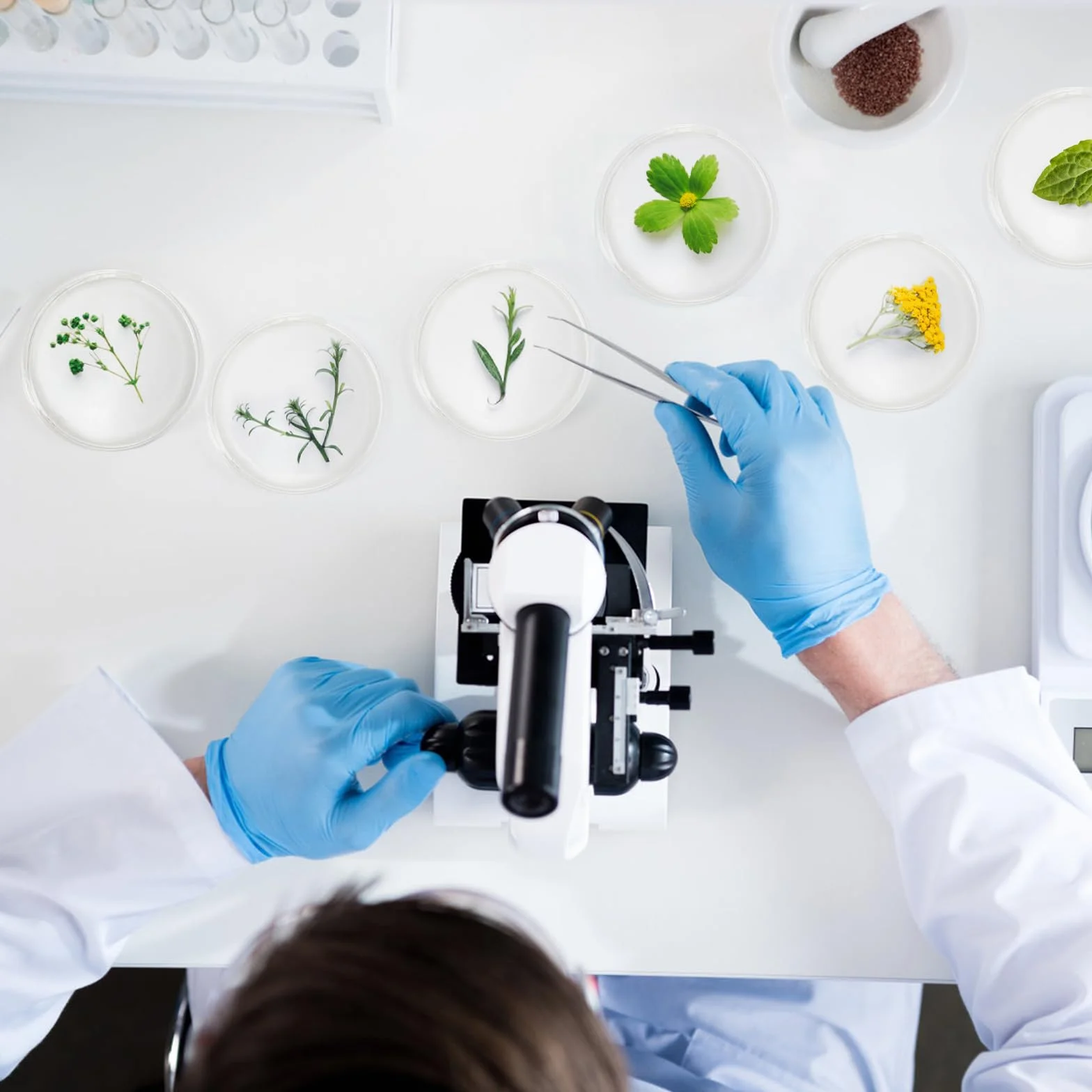 Lawei Estériles Placas de Petri Plástico 90 mm x 15 mm con Cuentagotas para Cultivo Bacteriano