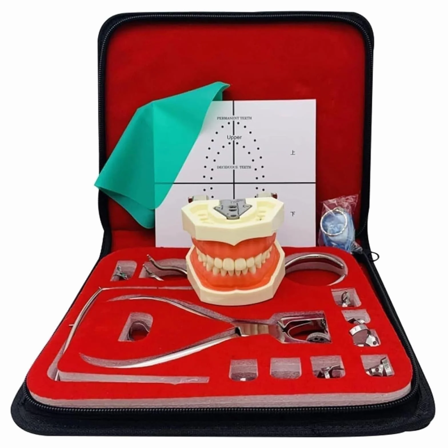Kit de dique de goma para endodoncia dental, herramienta de perforar y juego de pinzas con marcos