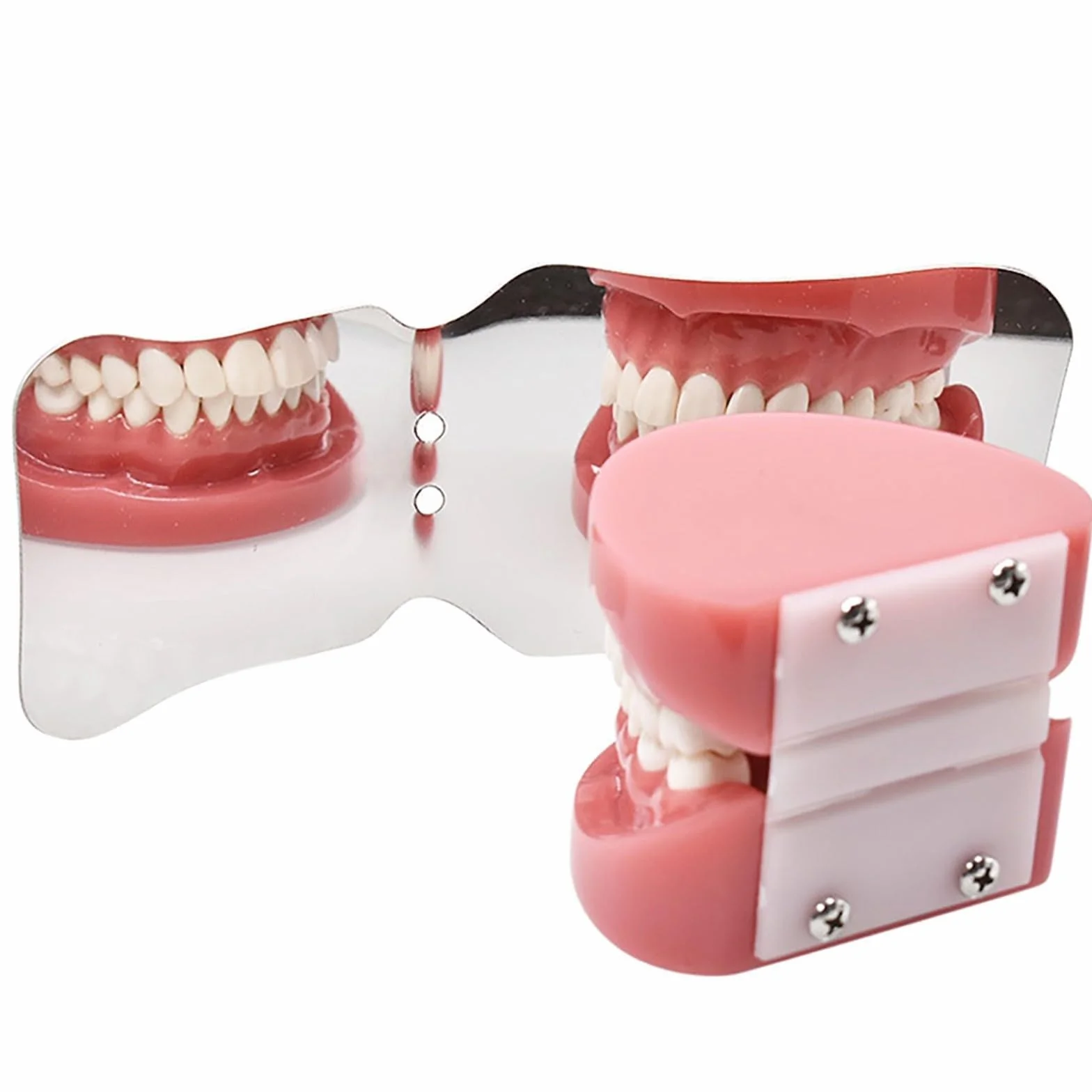 Espejo de acero inoxidable para fotografía dental, reflector bucal de ortodoncia