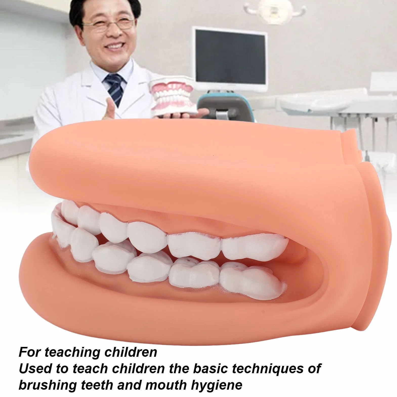 Marioneta de Boca de 28 Dientes con Lengua, Modelo de Demostración para Enseñanza de Niños, Silicona Bjorem