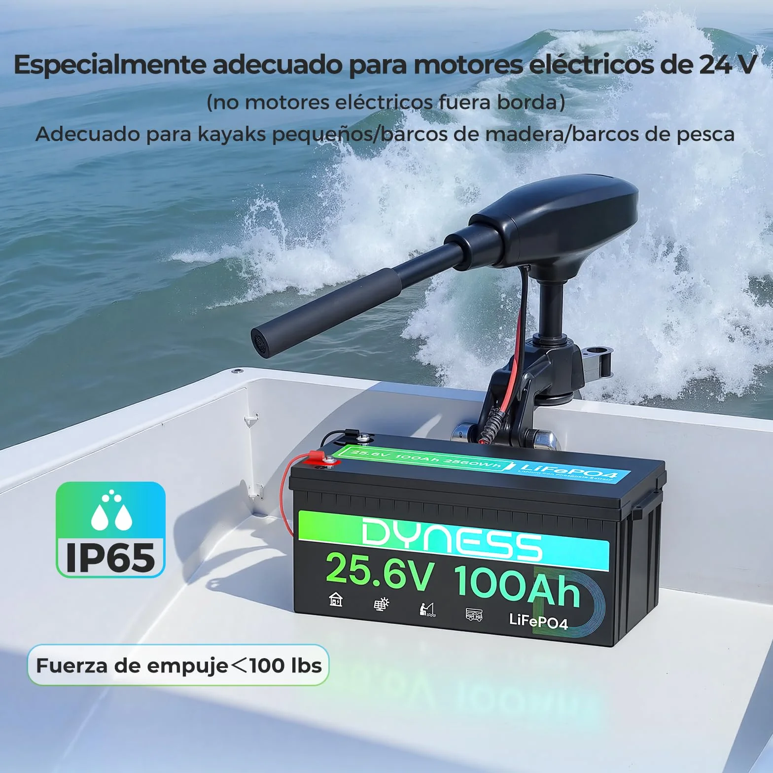 Dyness Batería Litio 24V 100Ah LiFePO4 con BMS 100A Protección Bajas Temperatura para Camper Solar