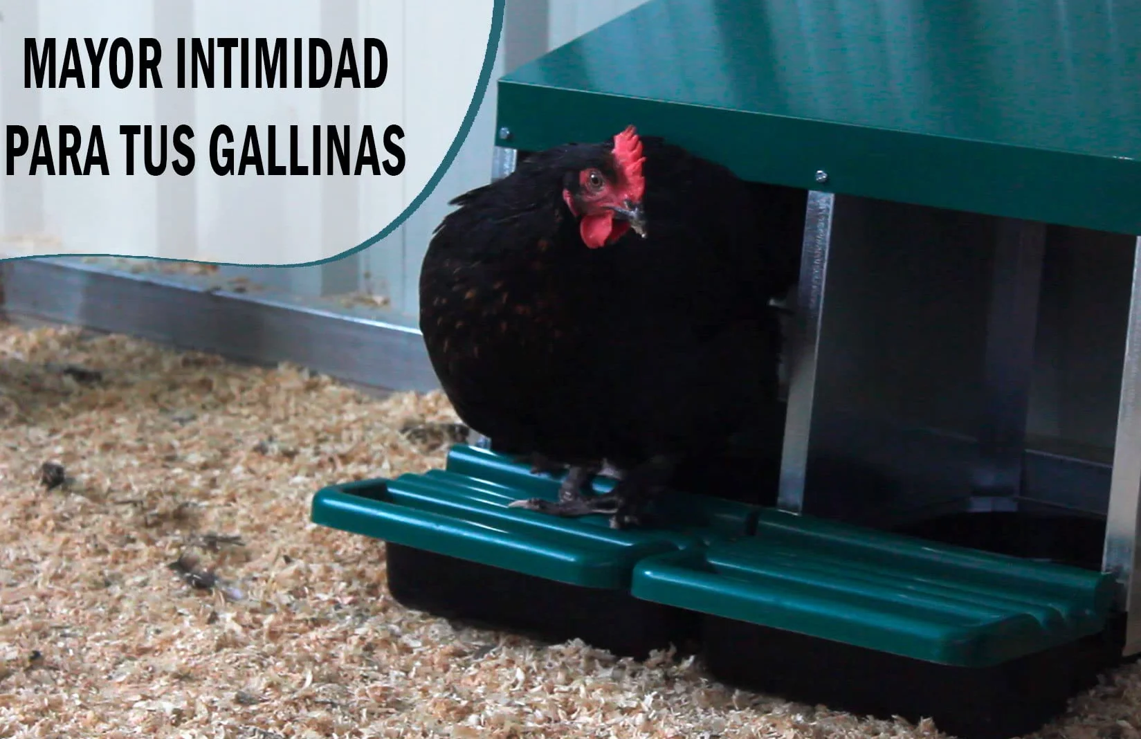 FINCA CASAREJO Nidal de 3 huecos para gallinas con 3 Huevos Falsos y Guía Práctica