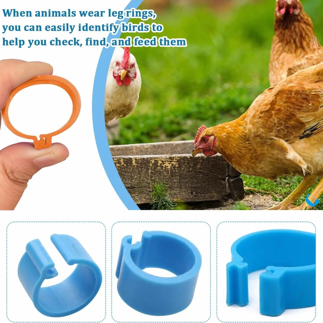 Anillos de plástico para patas de pollo 8mm 10mm 16mm