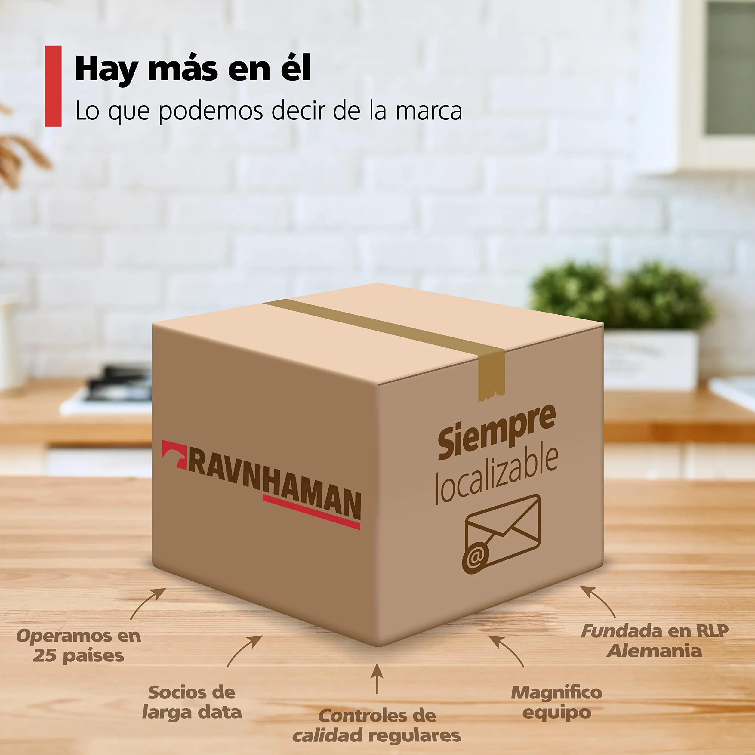 RAVN HAMAN Juego de 4 Ruedas industriales 75 mm giratorias con freno hasta 50 kg