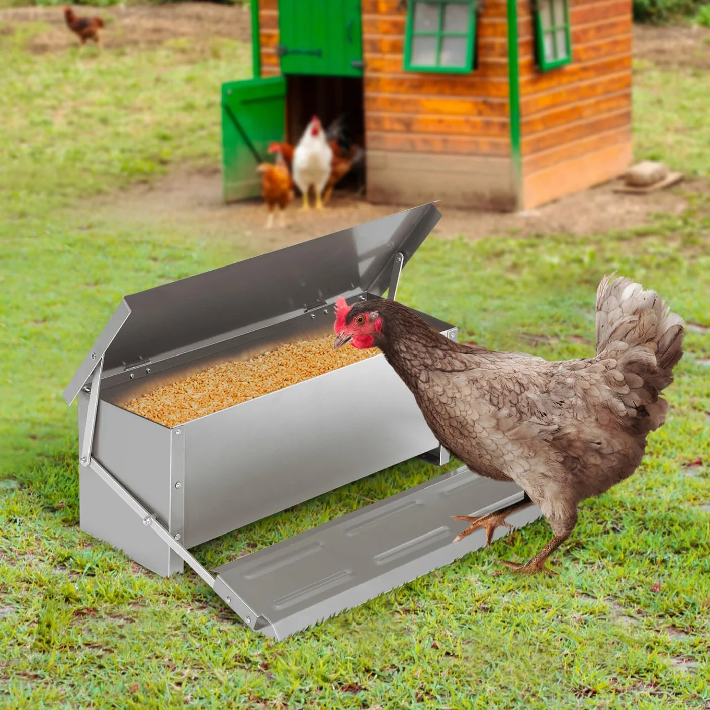 Alimentador XXL para gallinas, dispensador automático con pedal de acero 10 kg