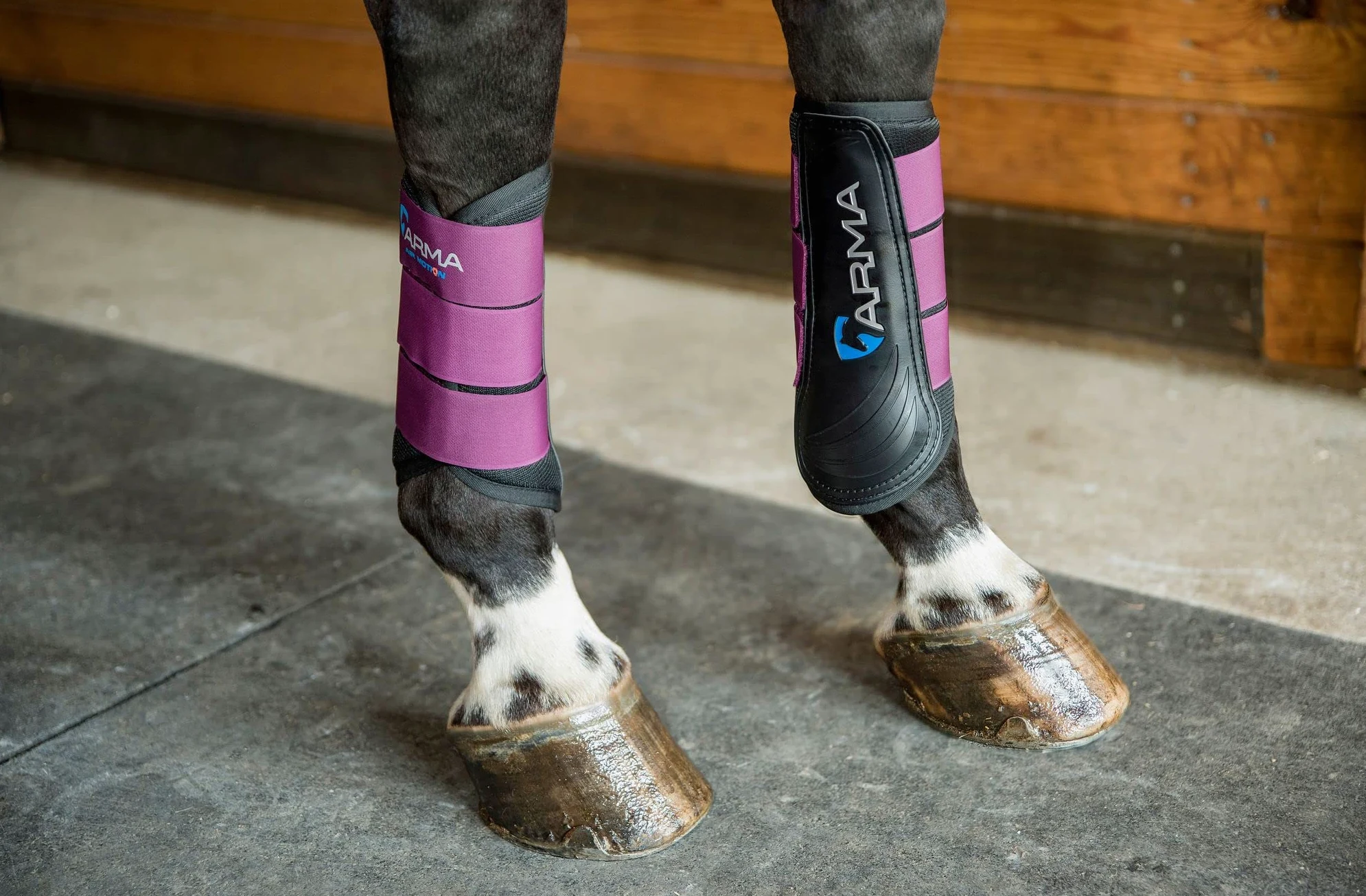 Shires ARMA Air Motion - Botas de cepillado