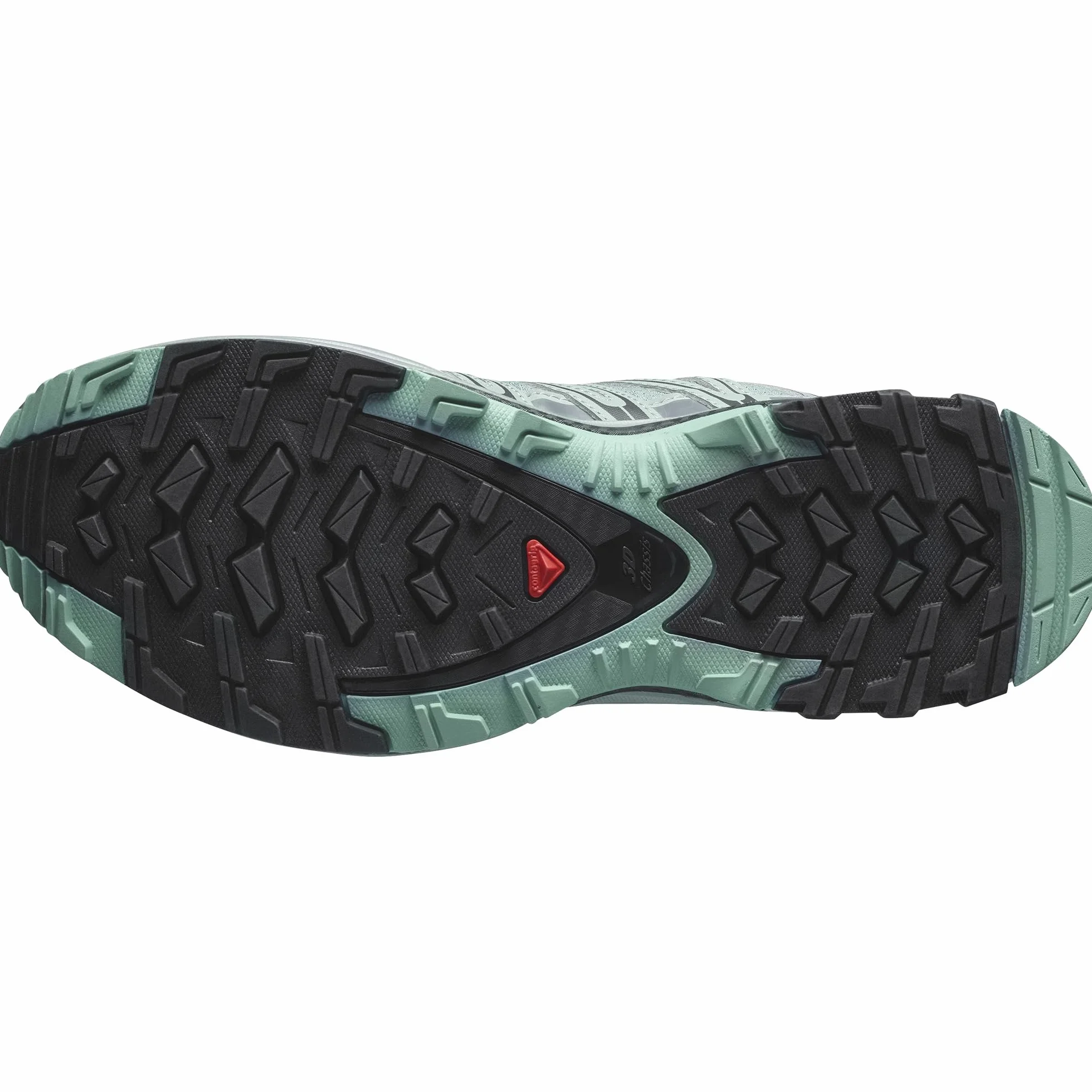 Salomon XA Pro 3D Gore-Tex ZapatillasMujer