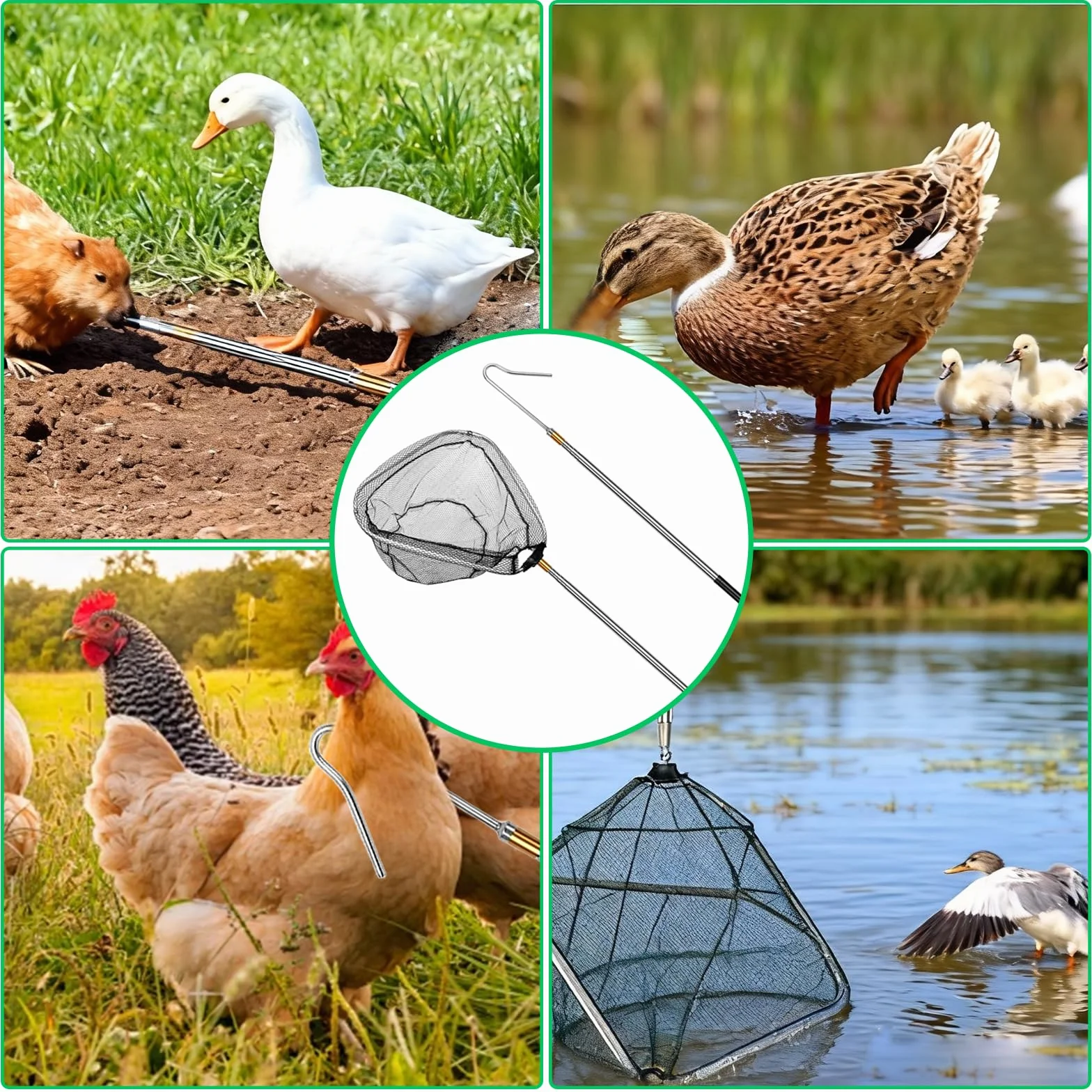 Juego de Recogedor de Pollos Retráctil y Red de Pesca 2 en 1, Kit de Captura con Red para Animales