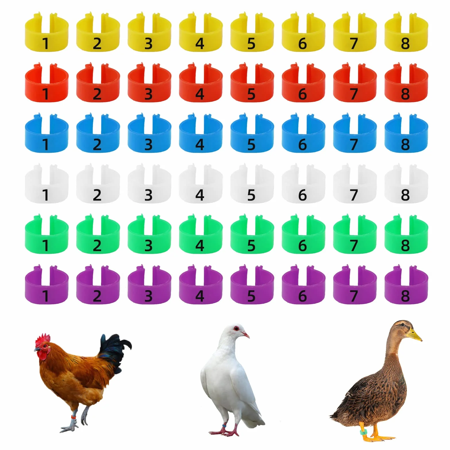 48 Piezas Anillos para Patas de Pollo Multicolor Identificación Clips Numerados para Aves de Corral (20mm)
