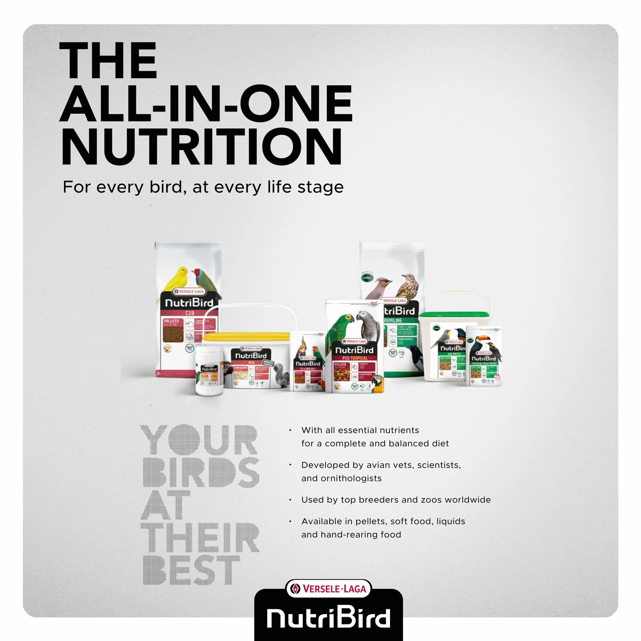 Versele-Laga NutriBird A21 800 g Alimento para cría a mano de aves con proteínas