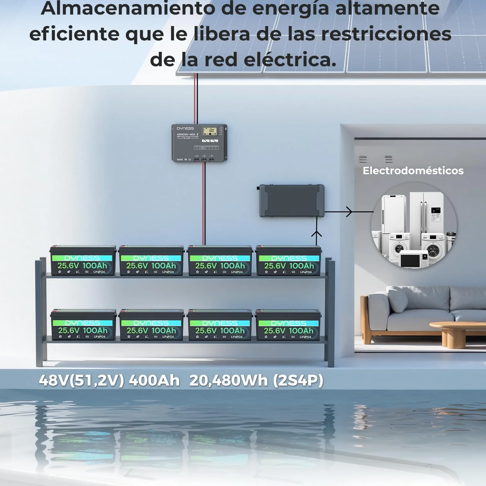 Dyness Batería Litio 24V 100Ah LiFePO4 con BMS 100A Protección Bajas Temperatura para Camper Solar