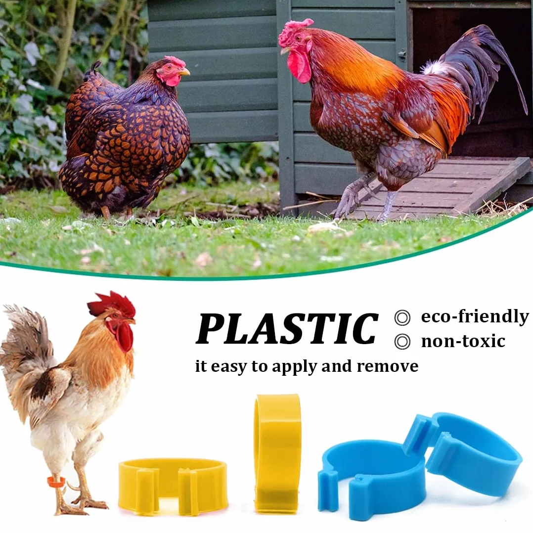 Anillos de plástico para patas de pollo 8mm 10mm 16mm