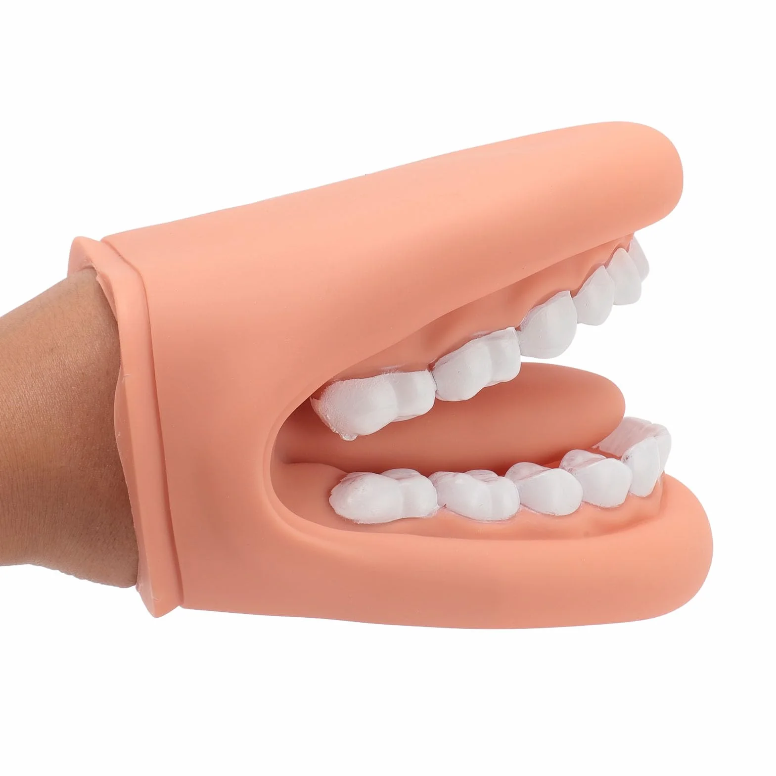 Marioneta de Boca de 28 Dientes con Lengua, Modelo de Demostración para Enseñanza de Niños, Silicona Bjorem