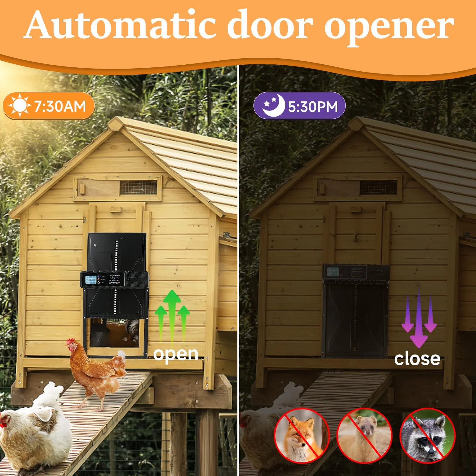 Puerta Automática para Gallinero de Aluminio con Temporizador y Pantalla, Protección Antiatrapamiento